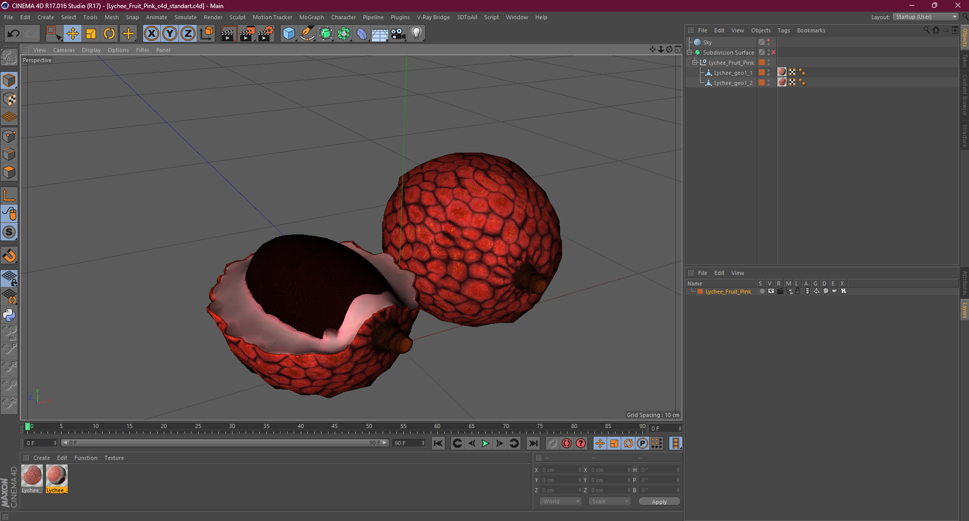 Lychee Fruit Pink 3D