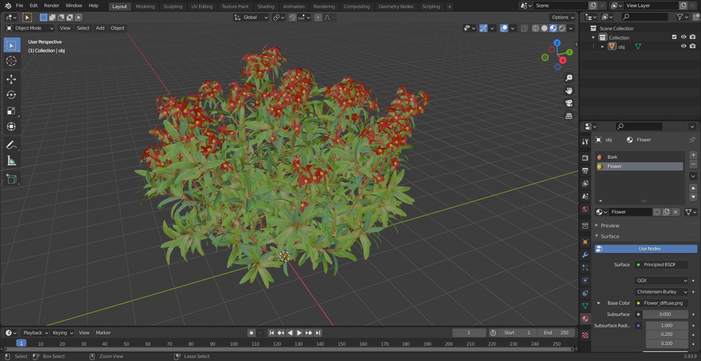3D model Euphorbia Griffithii