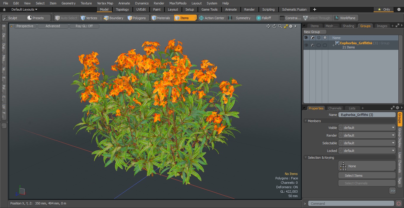 3D model Euphorbia Griffithii