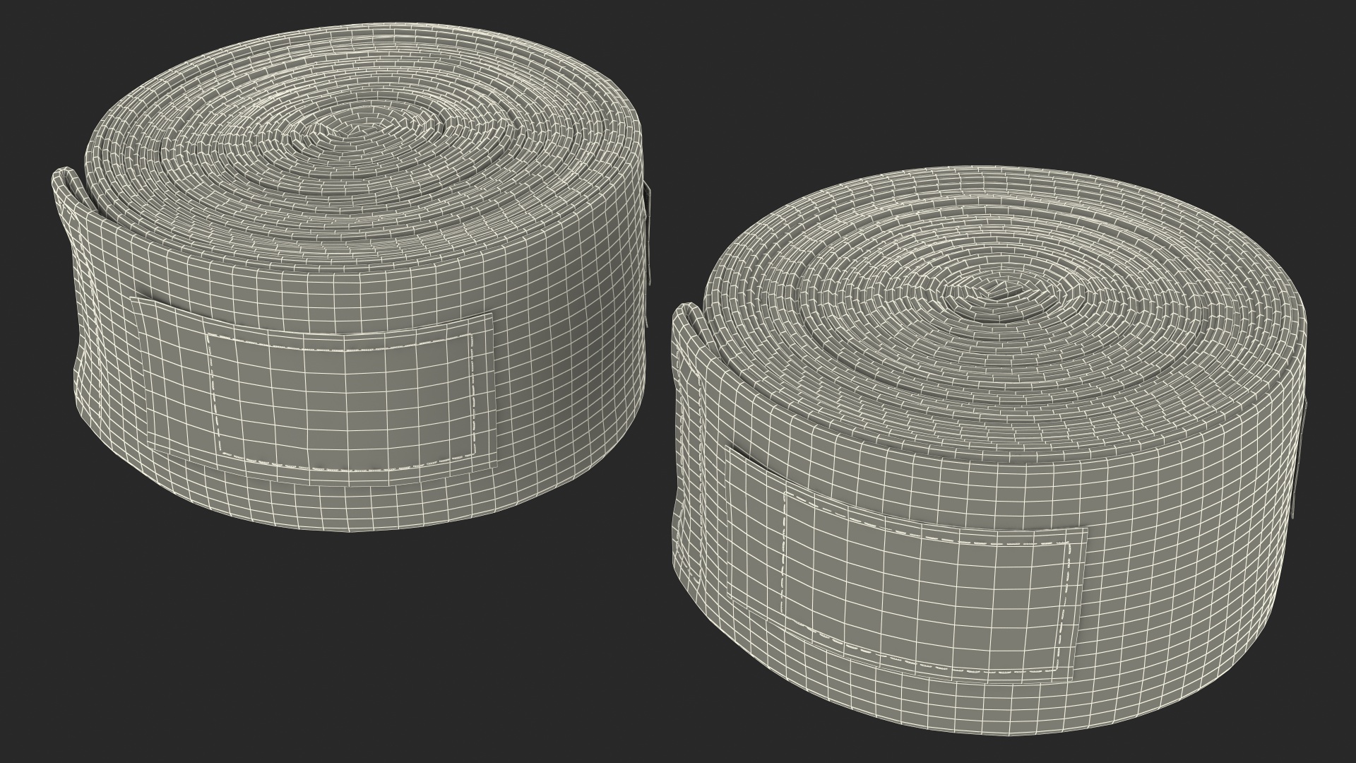 3D Blue Boxing Hand Wrap 2 Rolls Fur model