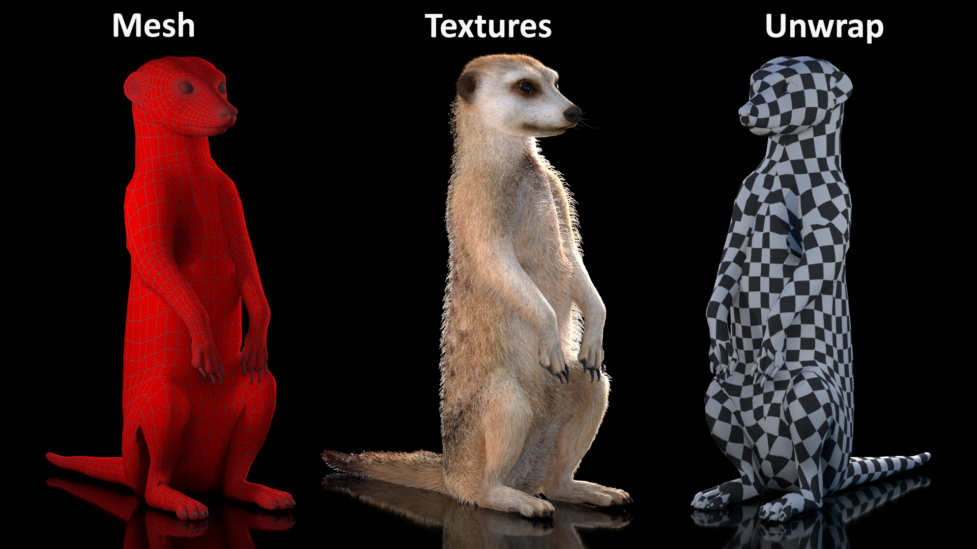 Meerkat Sitting Pose Fur 3D model