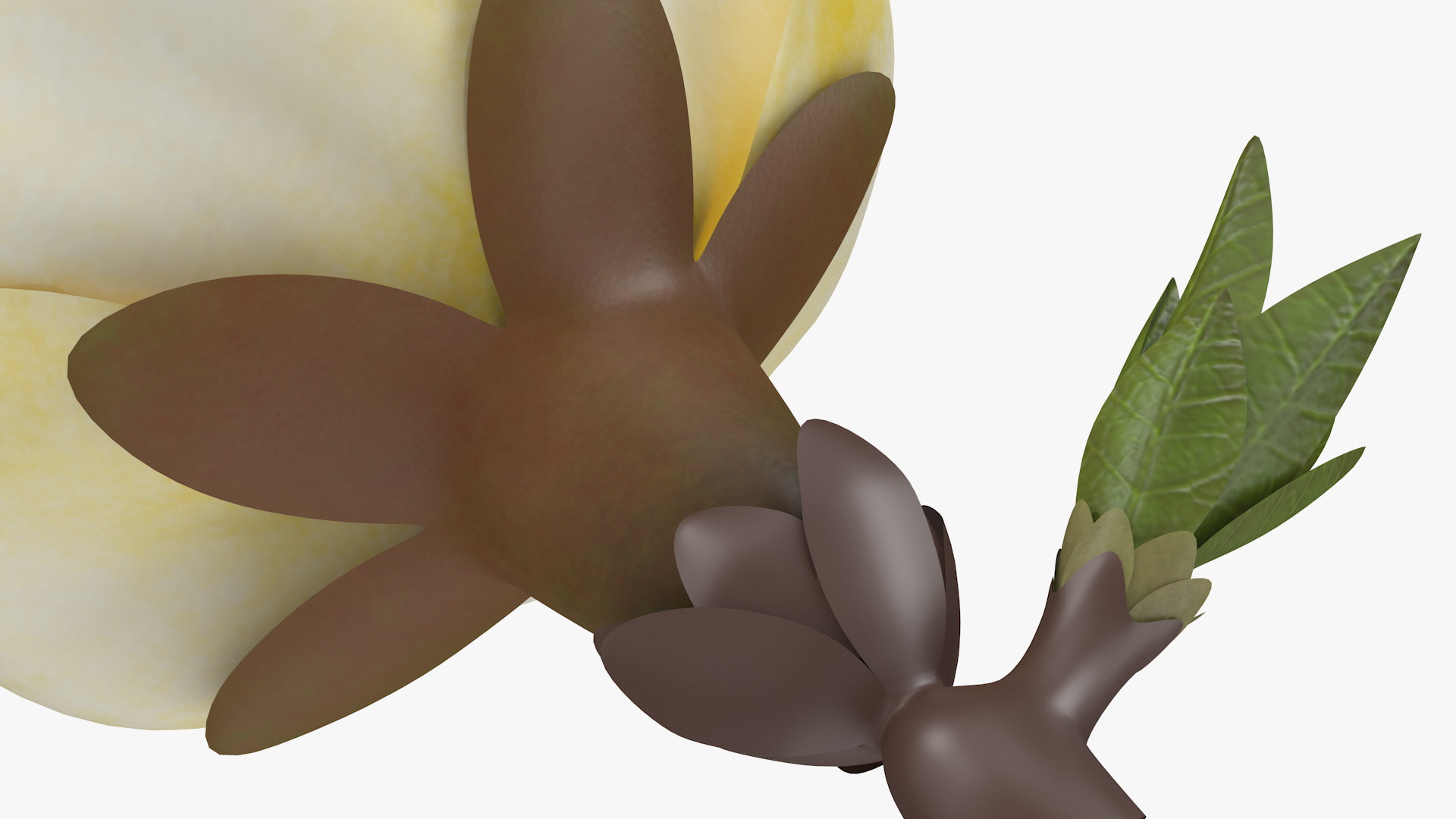3D model Yellow Cherry Flower