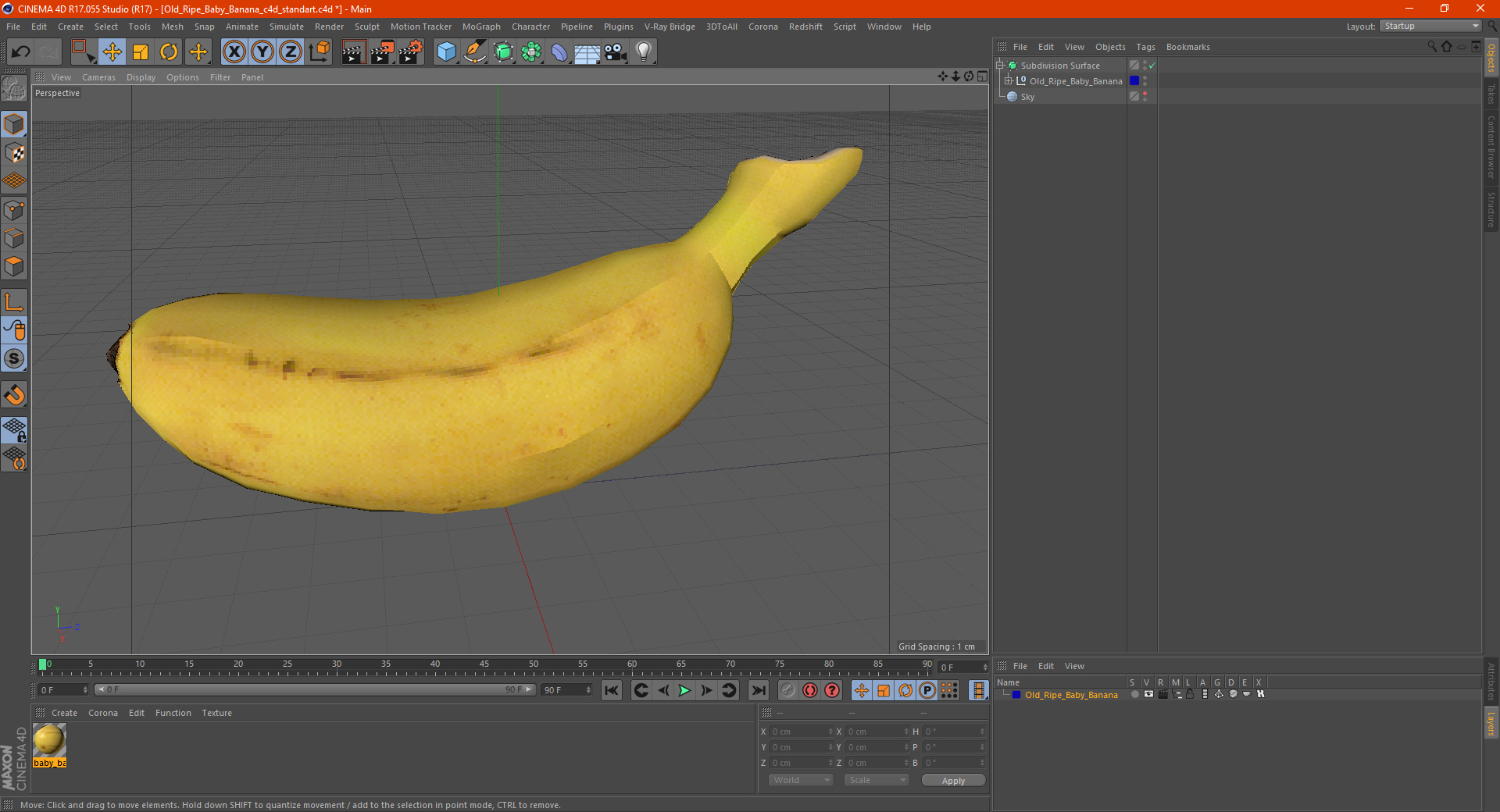 3D model Old Ripe Baby Banana