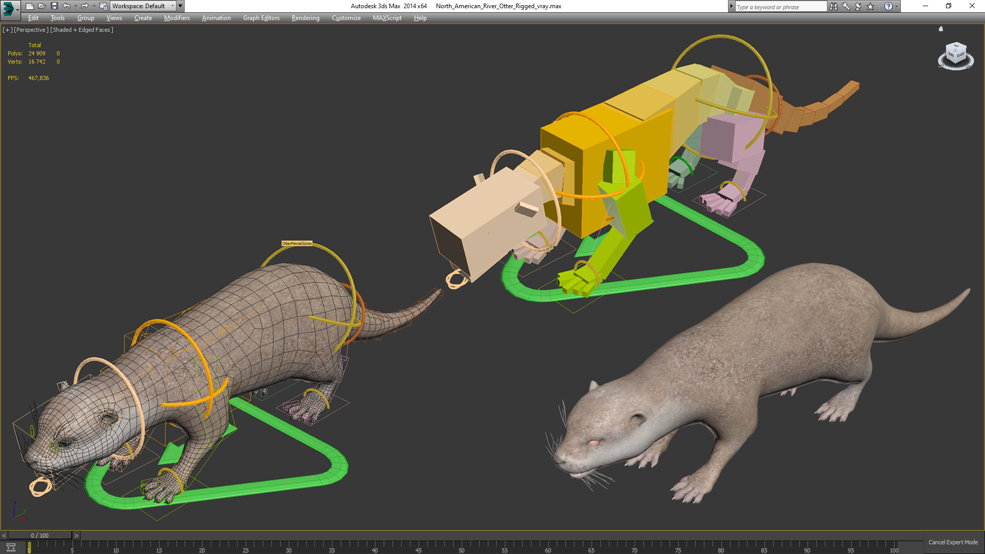 North American River Otter Rigged for Maya 3D
