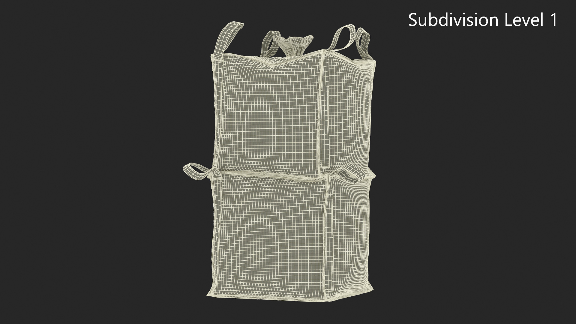 3D Two 1 Ton Capacity Bulk Bags model