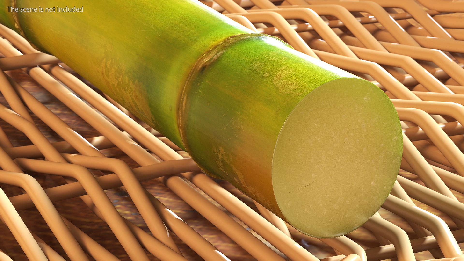 3D Green Sugarcane Stick