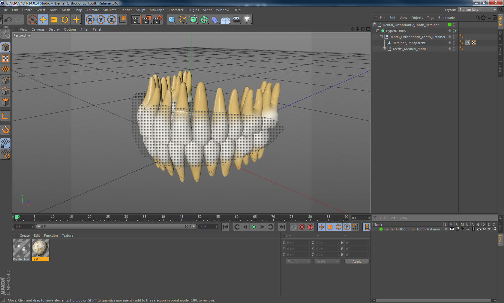 3D Dental Orthodontic Tooth Retainer model