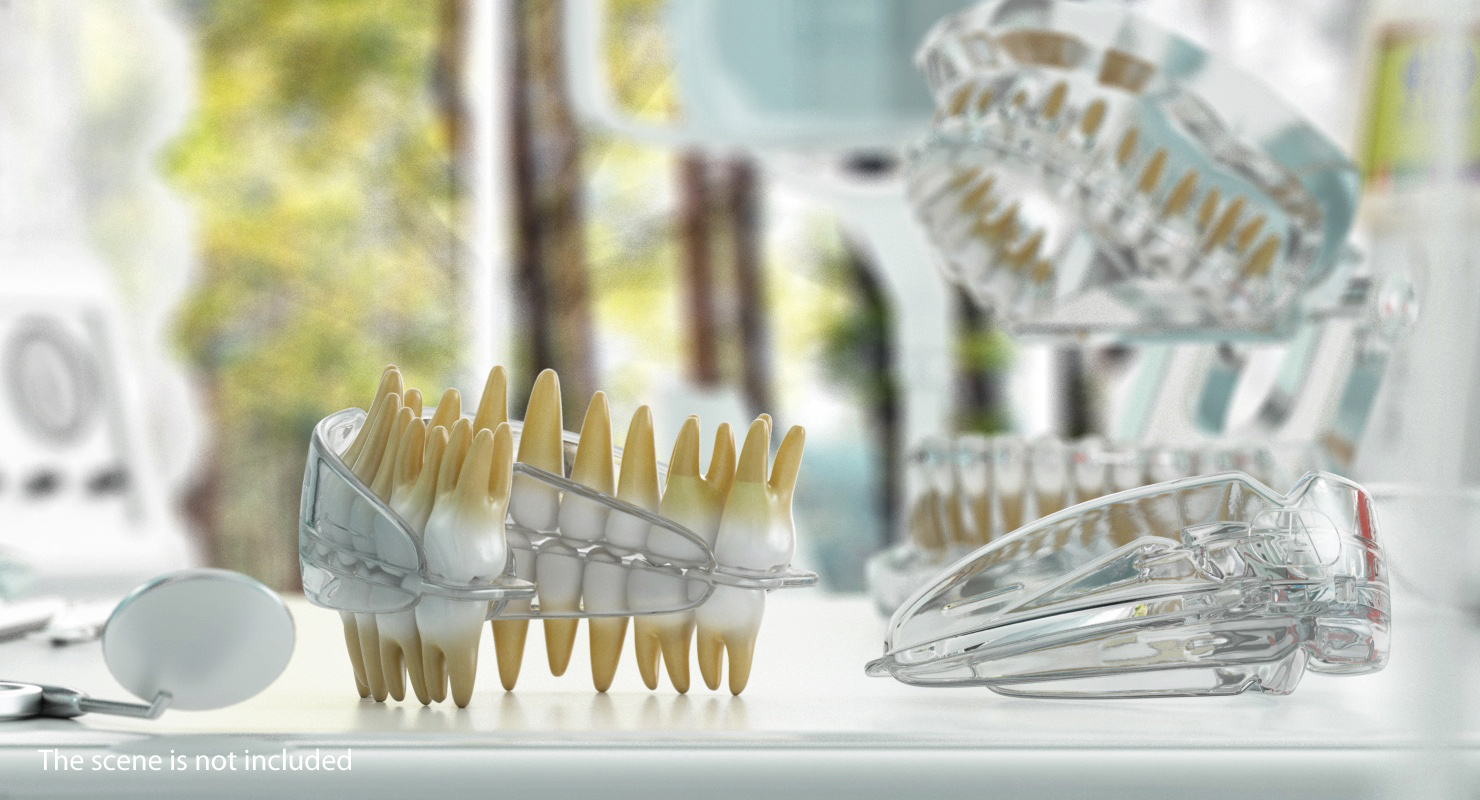3D Dental Orthodontic Tooth Retainer model
