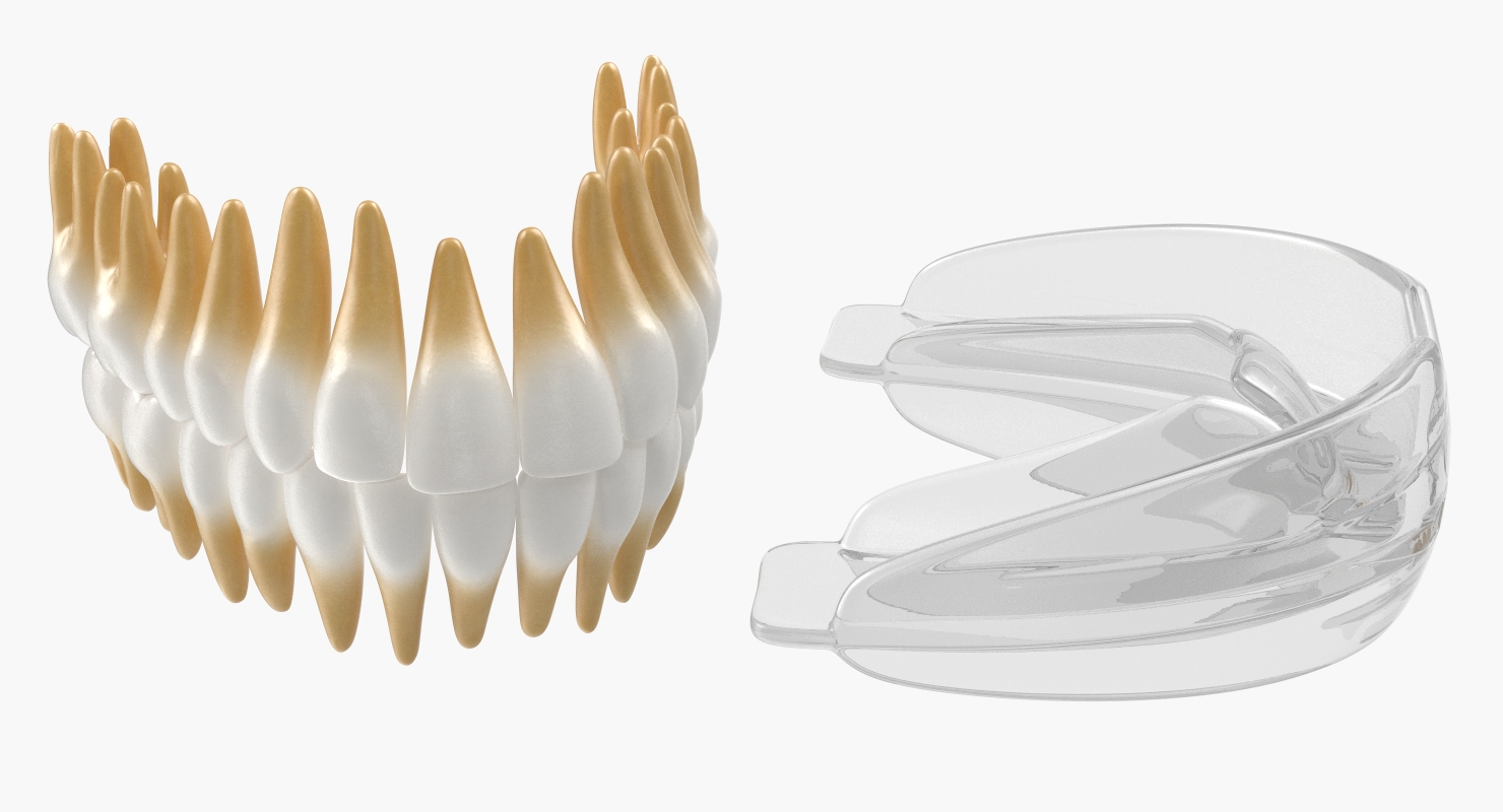 3D Dental Orthodontic Tooth Retainer model