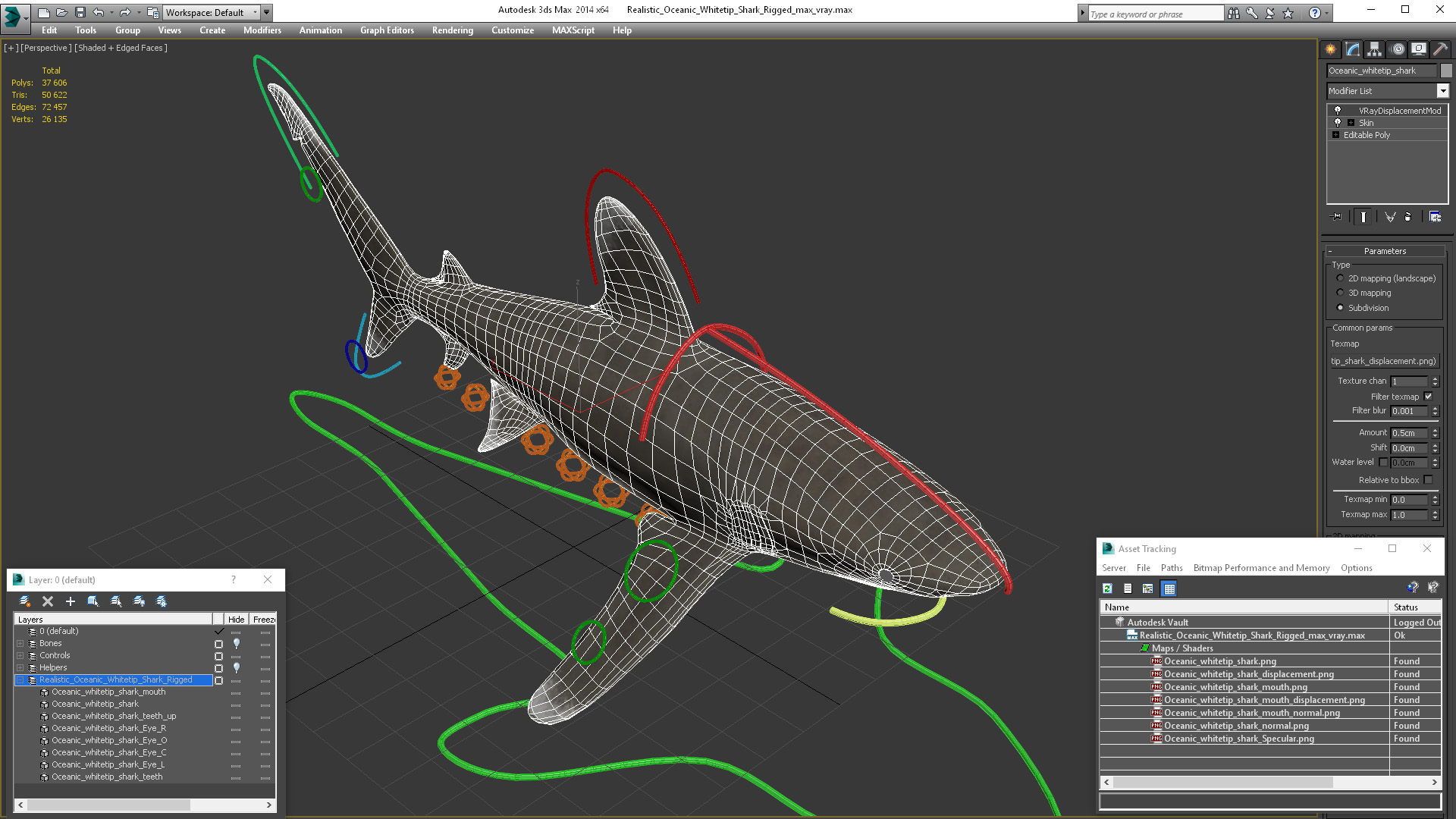 Realistic Oceanic Whitetip Shark Rigged 3D model