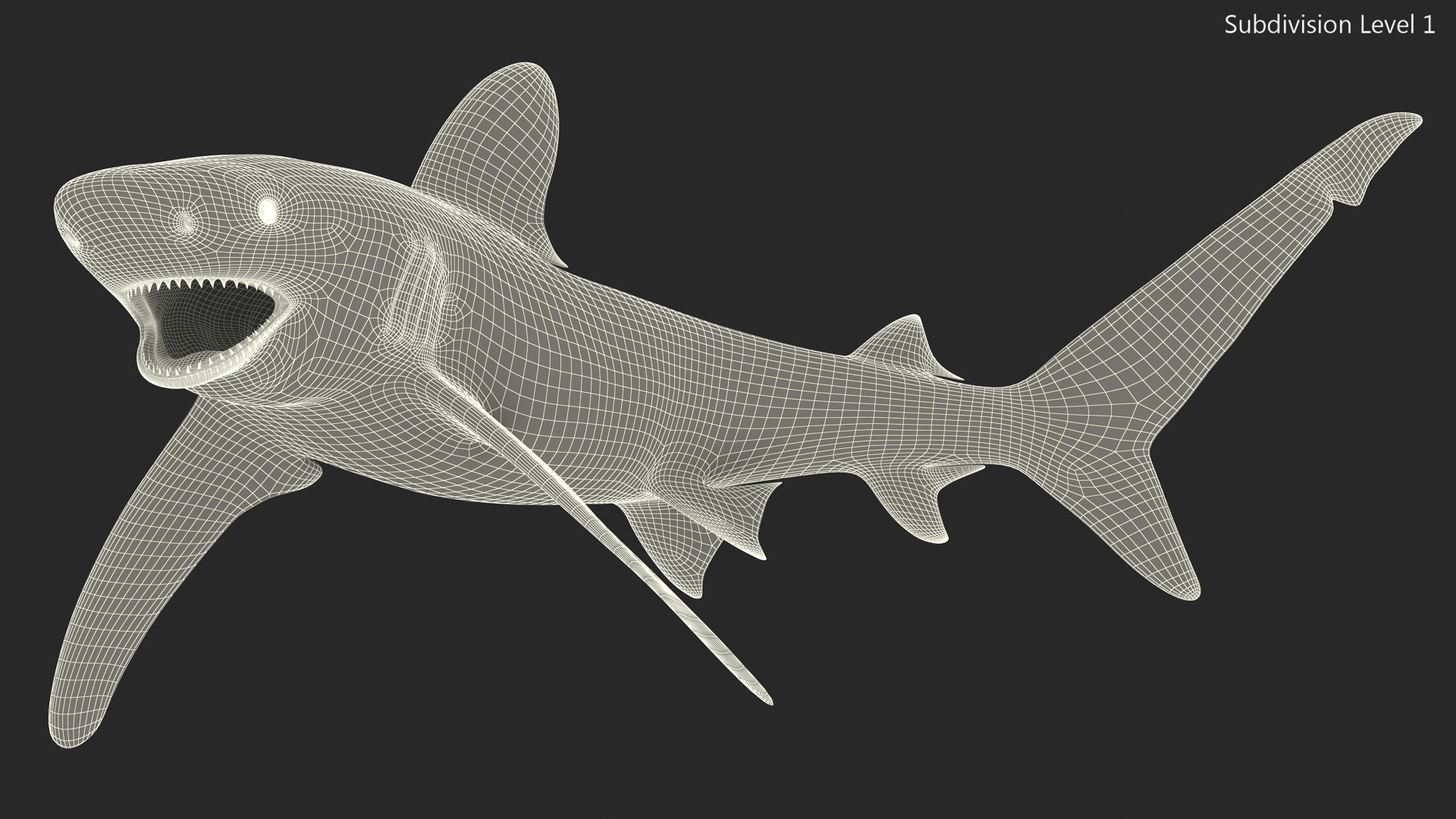 Realistic Oceanic Whitetip Shark Rigged 3D model