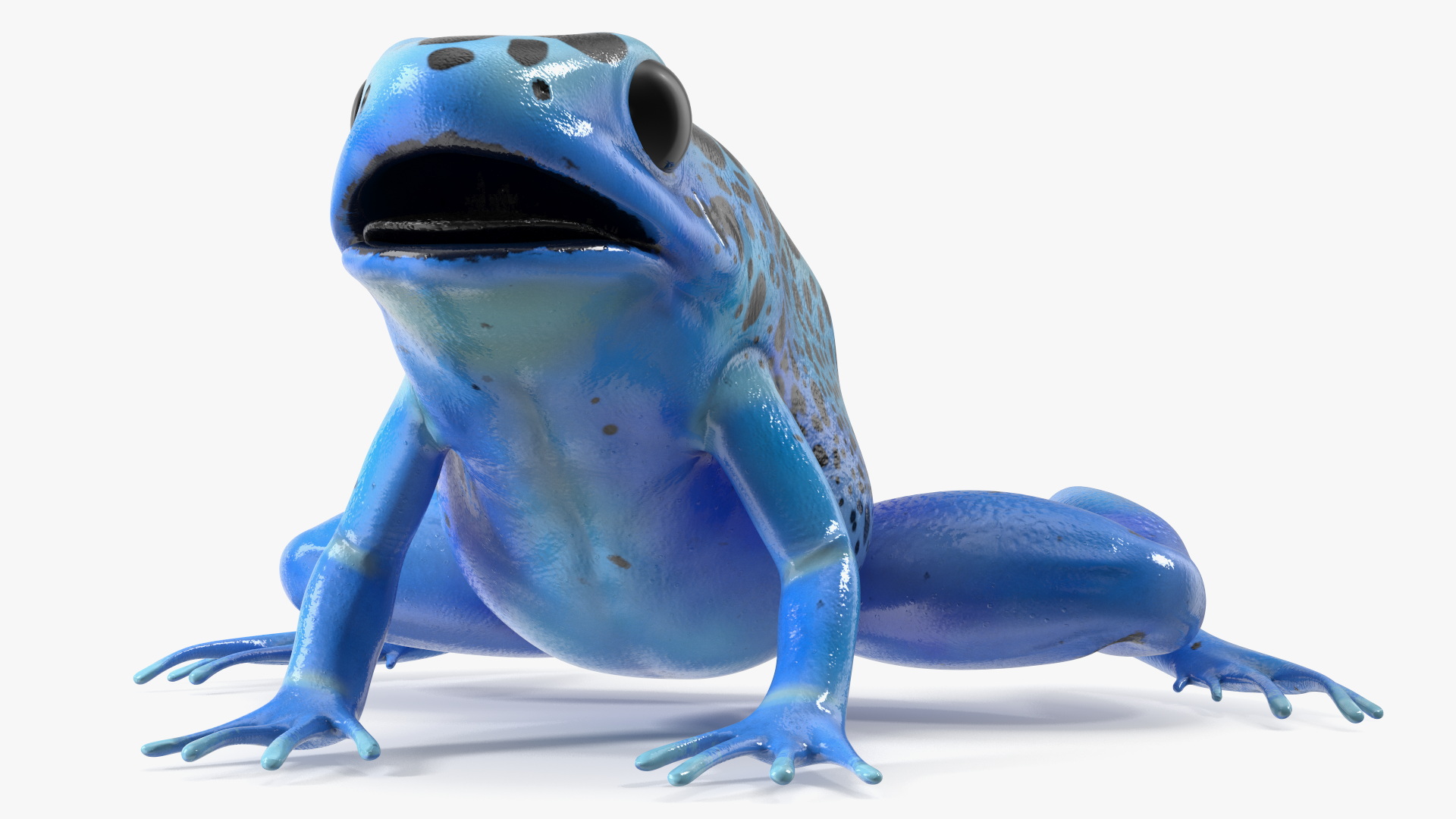 3D Blue Poison Dart Frog