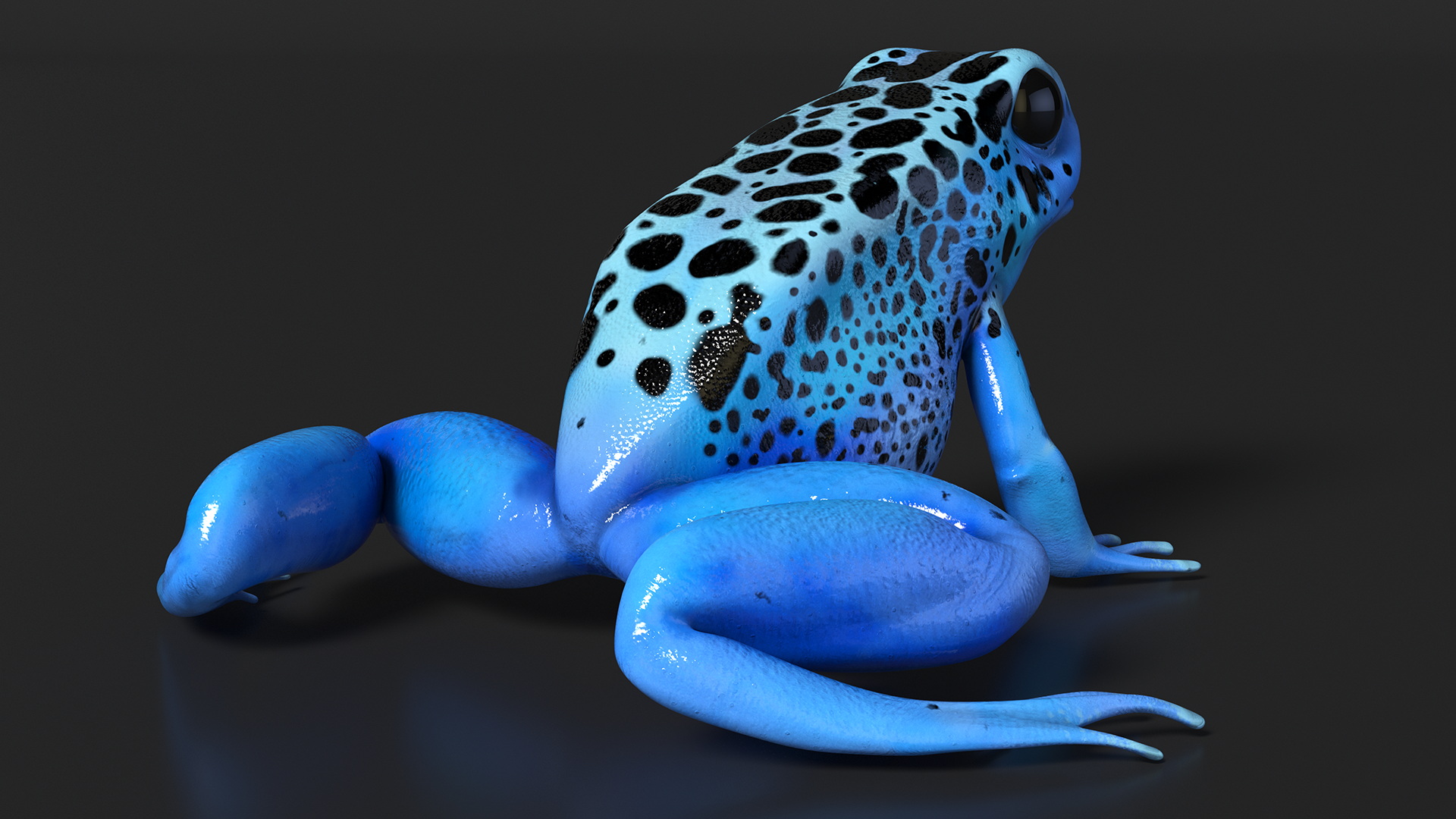 3D Blue Poison Dart Frog
