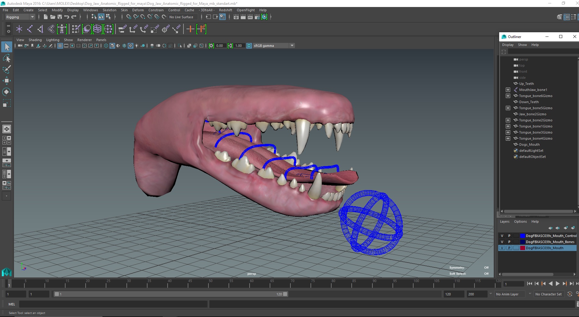 Dog Jaw Anatomic Rigged for Maya 3D
