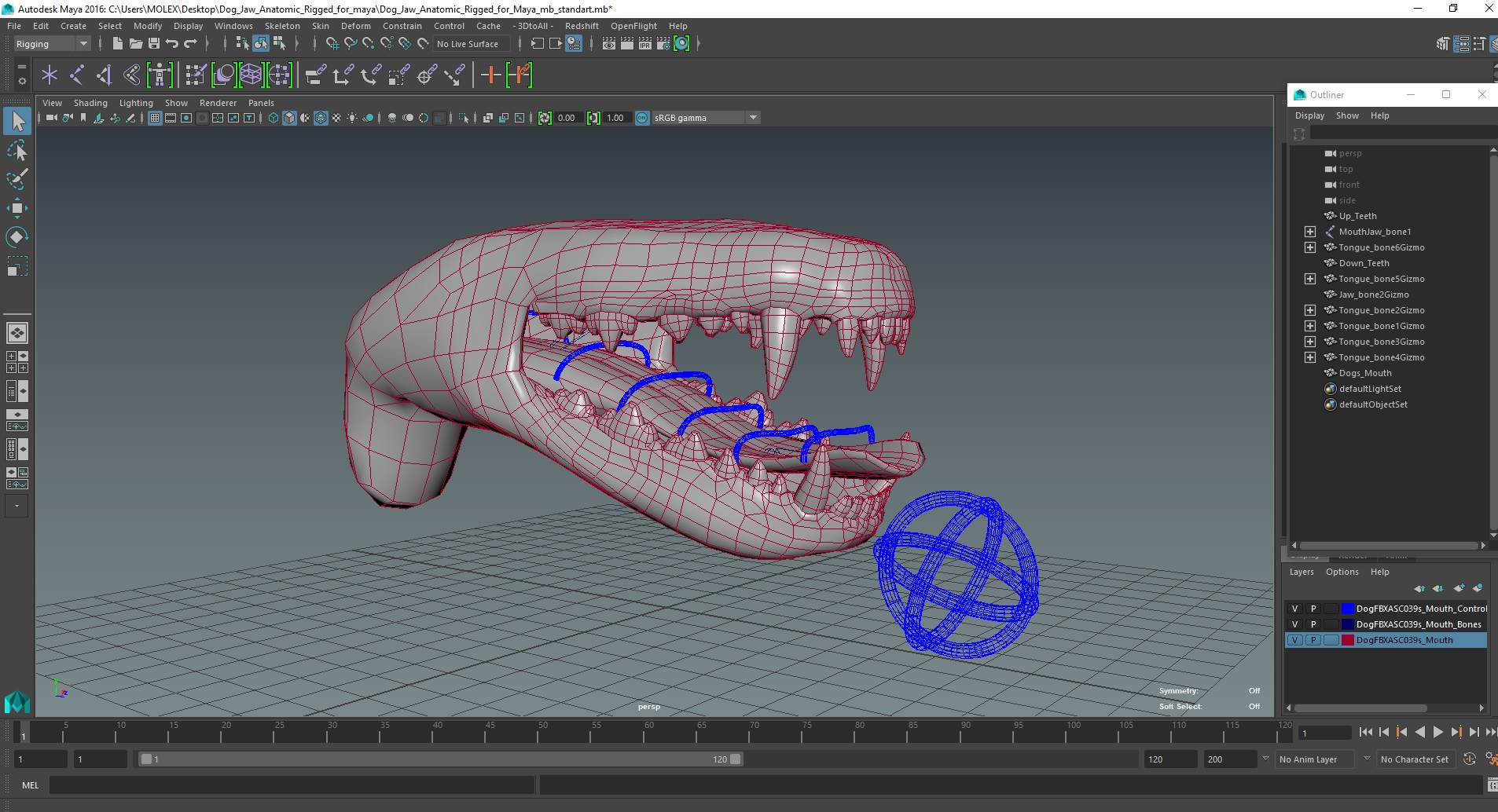 Dog Jaw Anatomic Rigged for Maya 3D