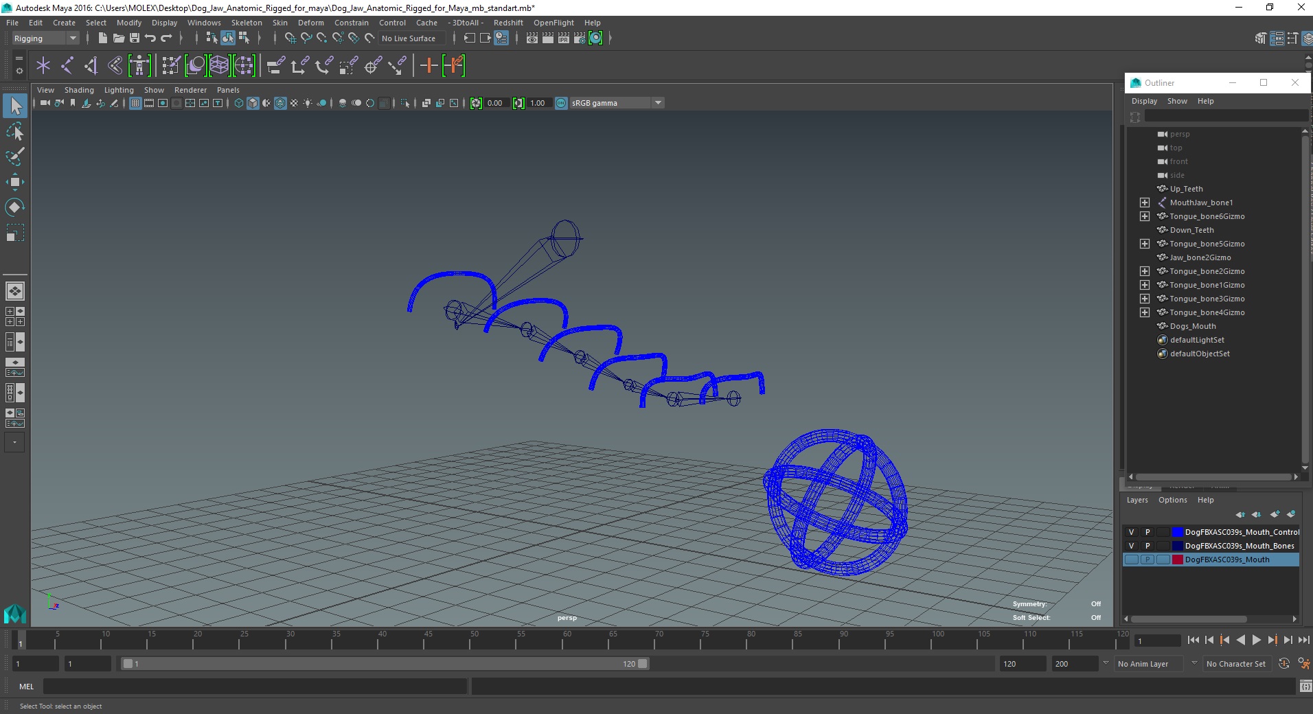 Dog Jaw Anatomic Rigged for Maya 3D