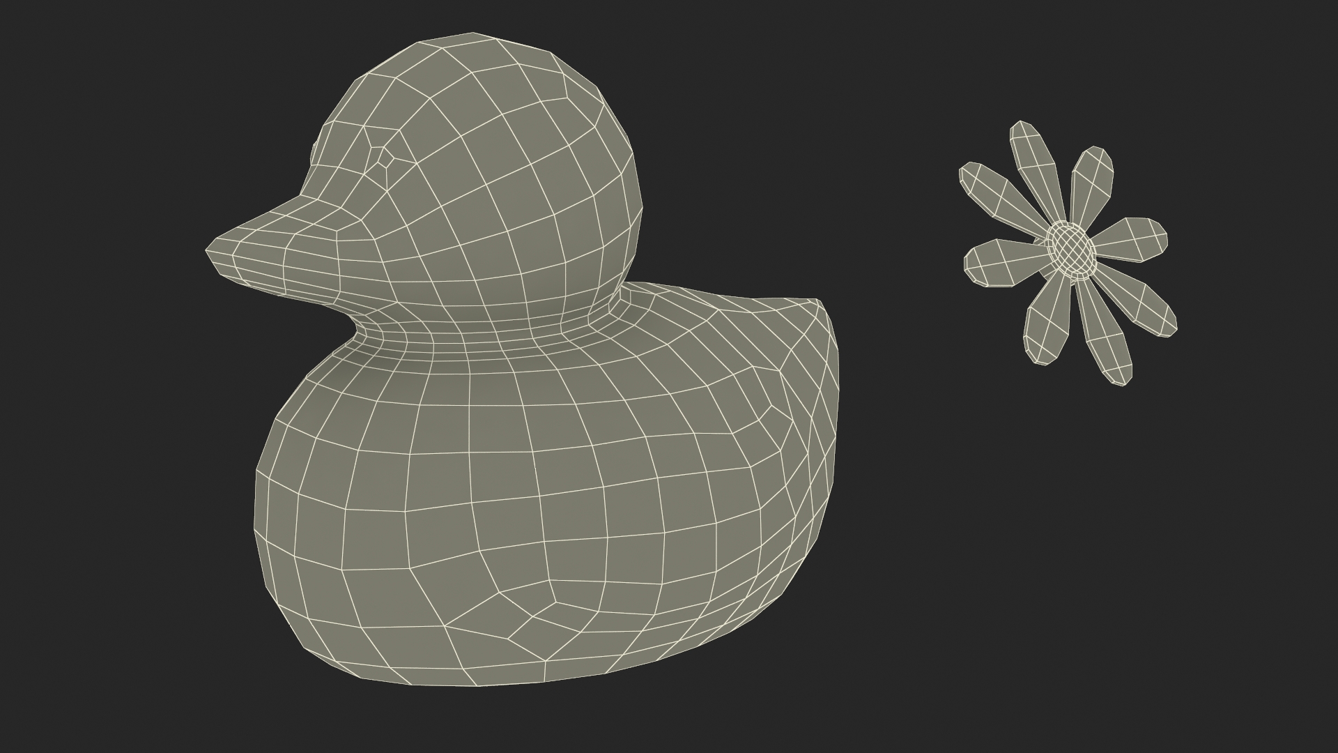 3D model Chamomile for Rubber Duck