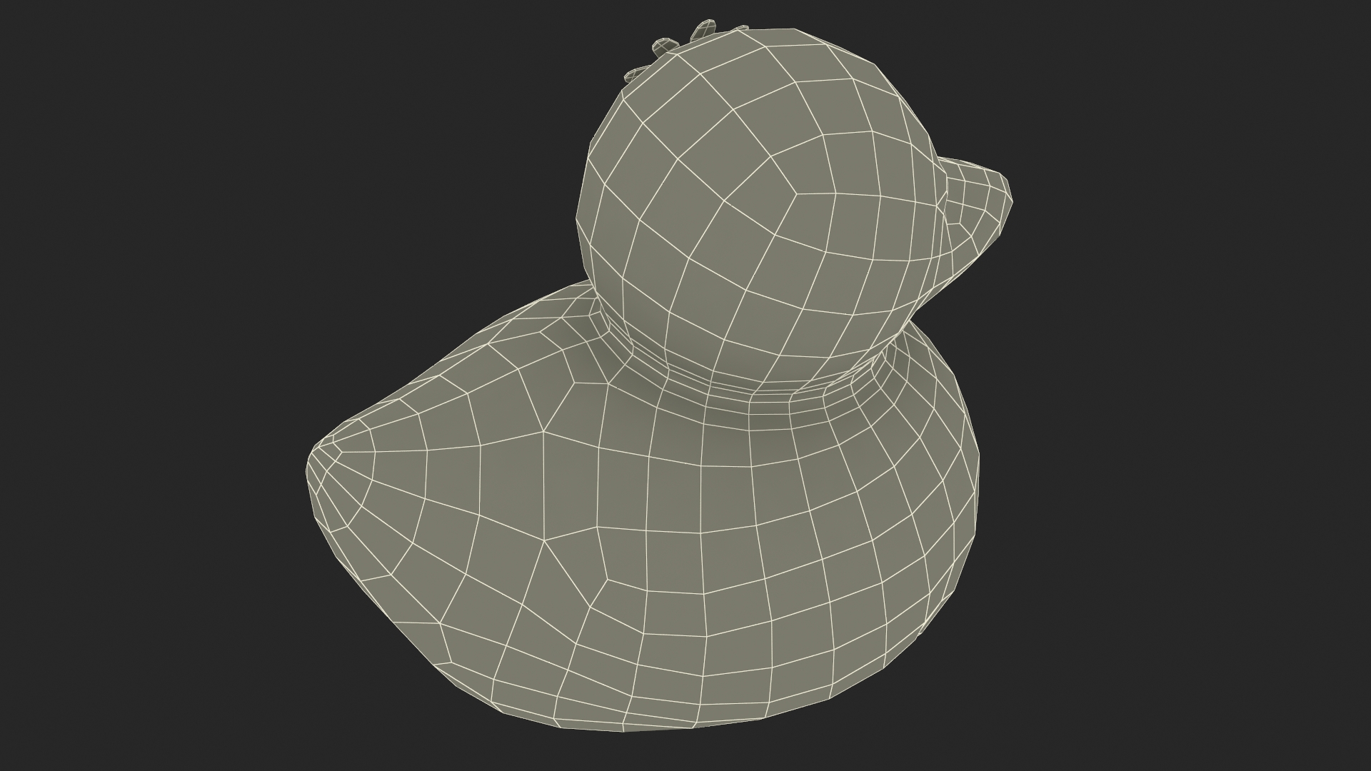 3D model Chamomile for Rubber Duck