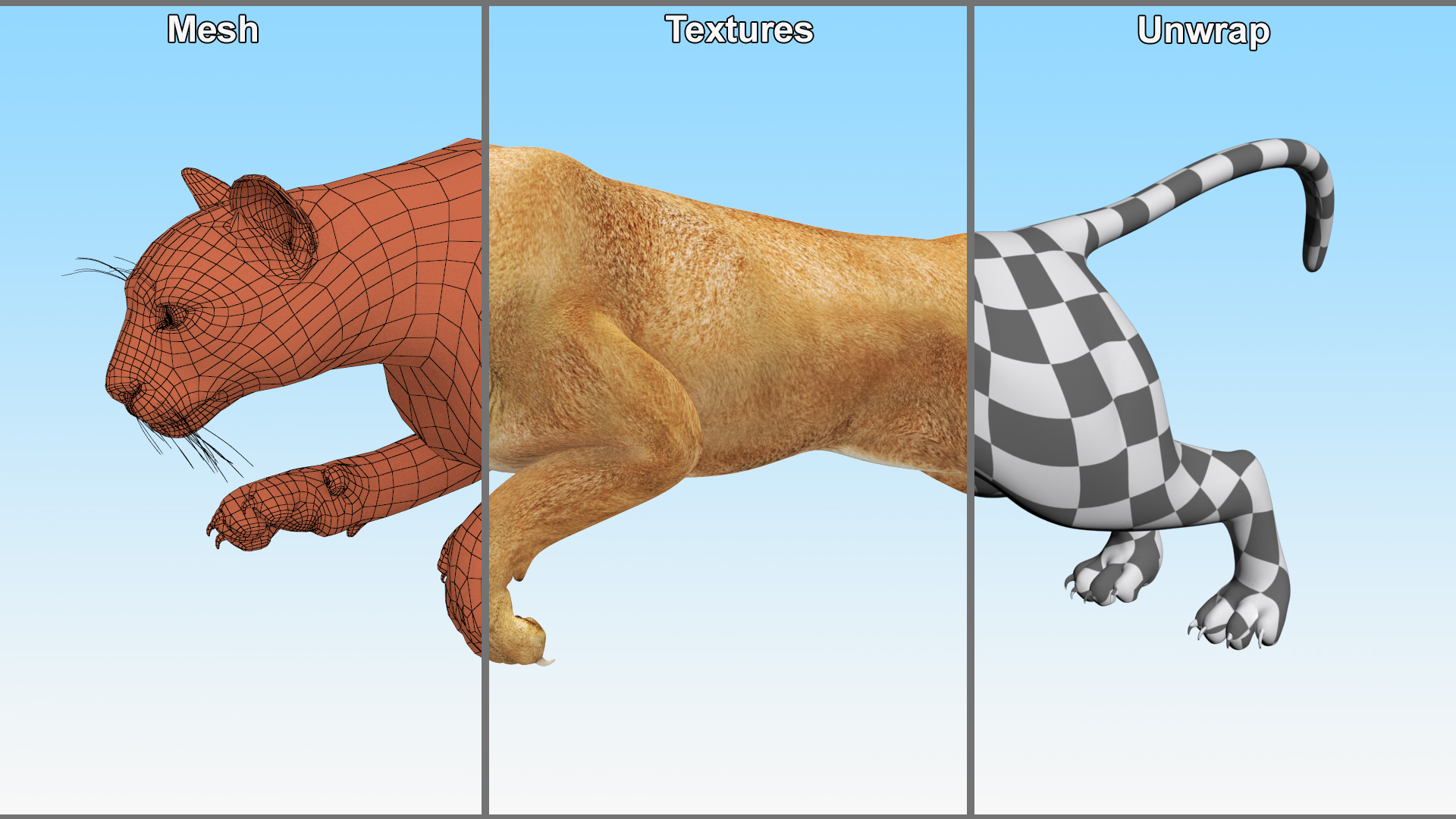 Jumping Puma 3D