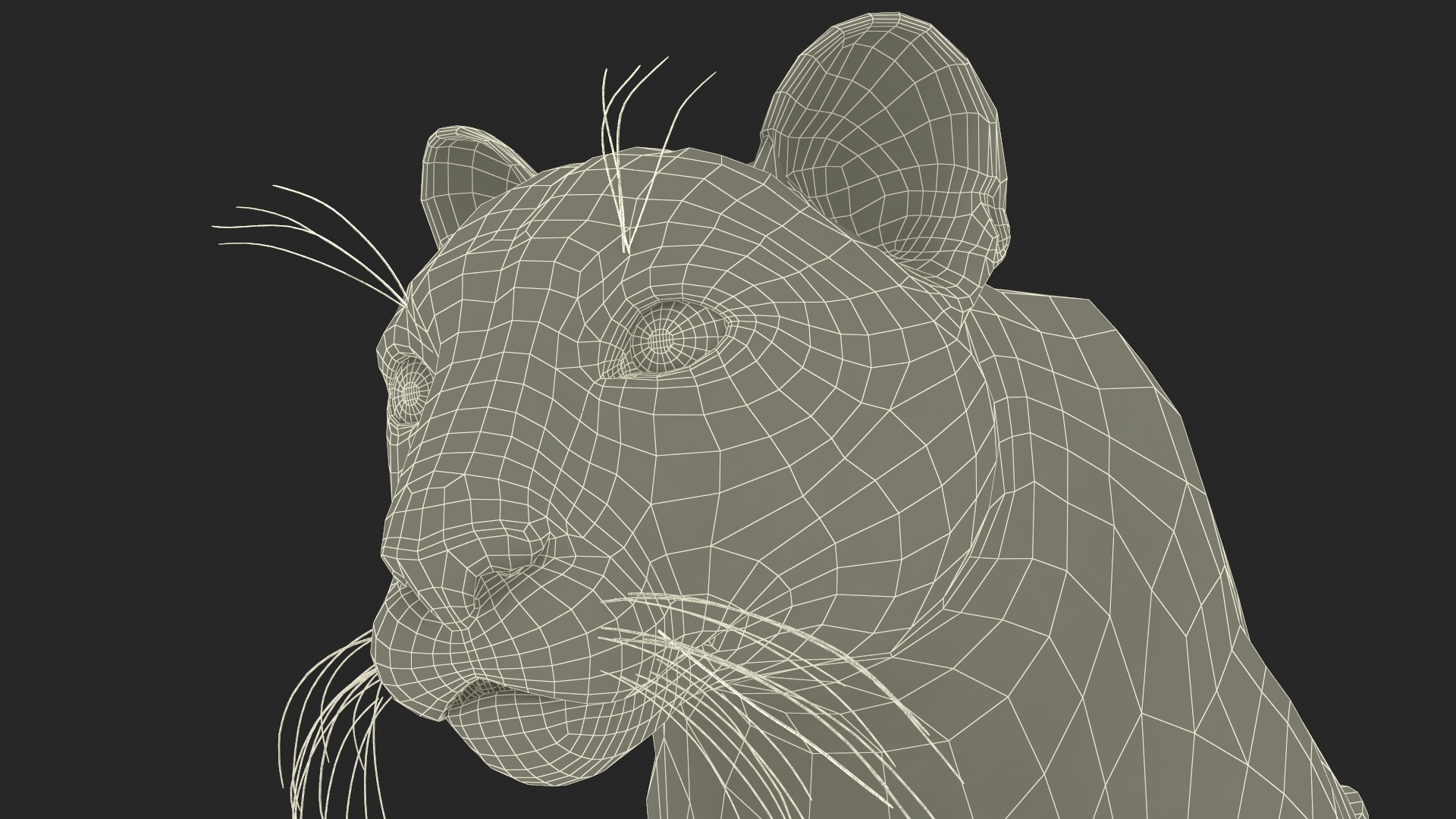 Jumping Puma 3D