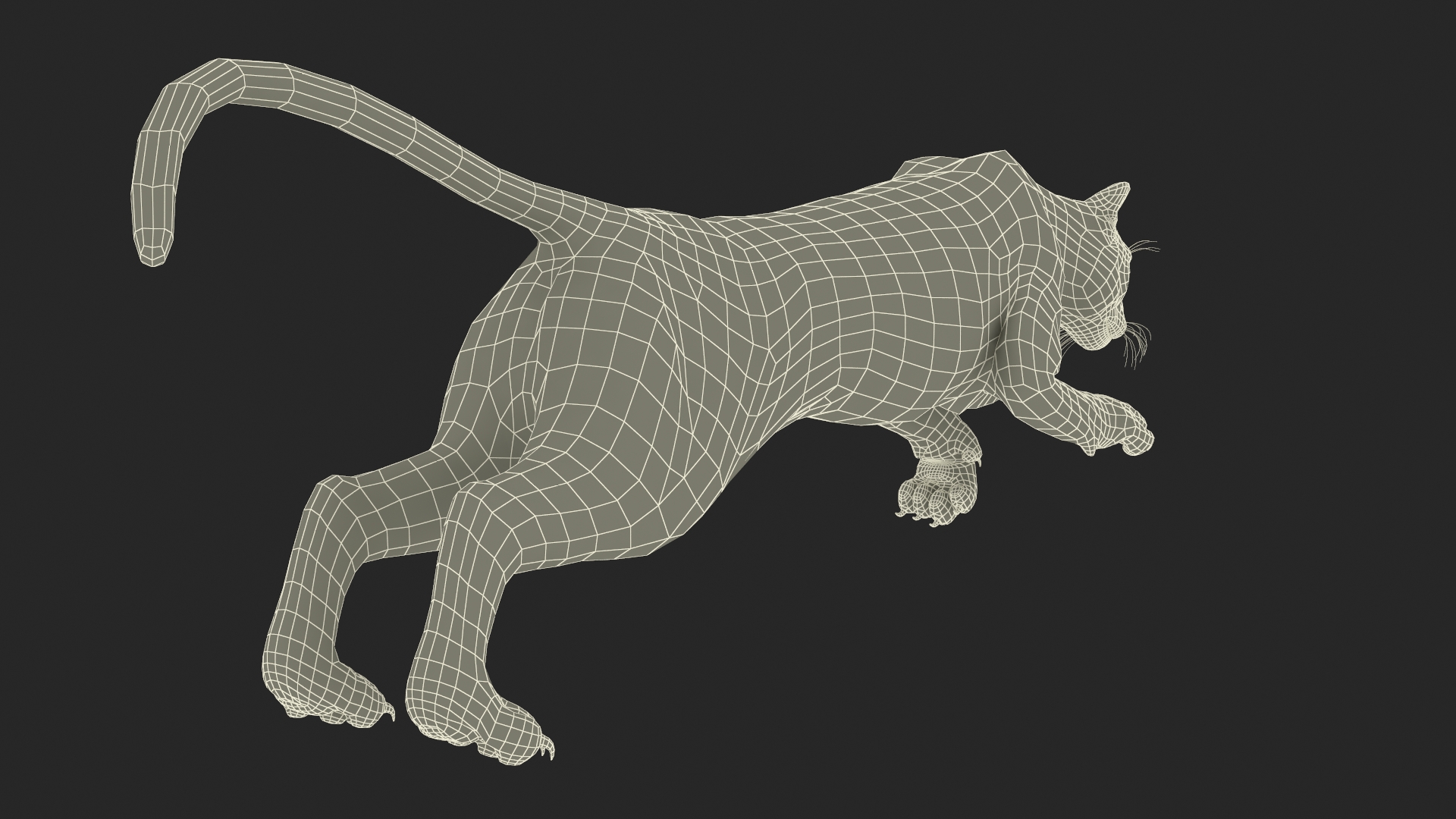Jumping Puma 3D