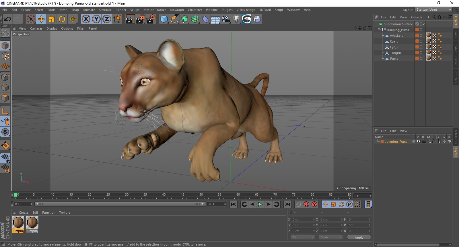 Jumping Puma 3D