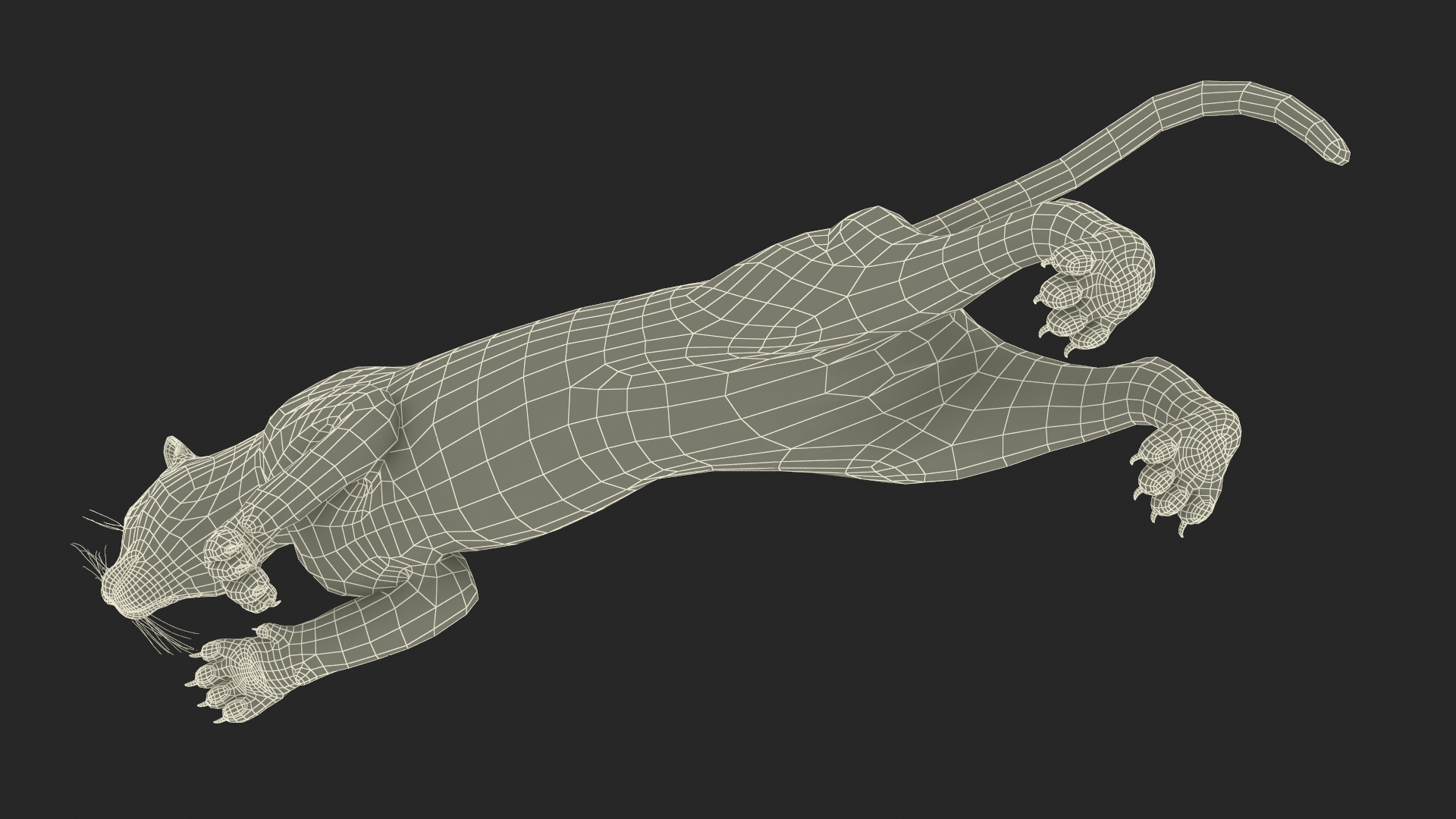 Jumping Puma 3D