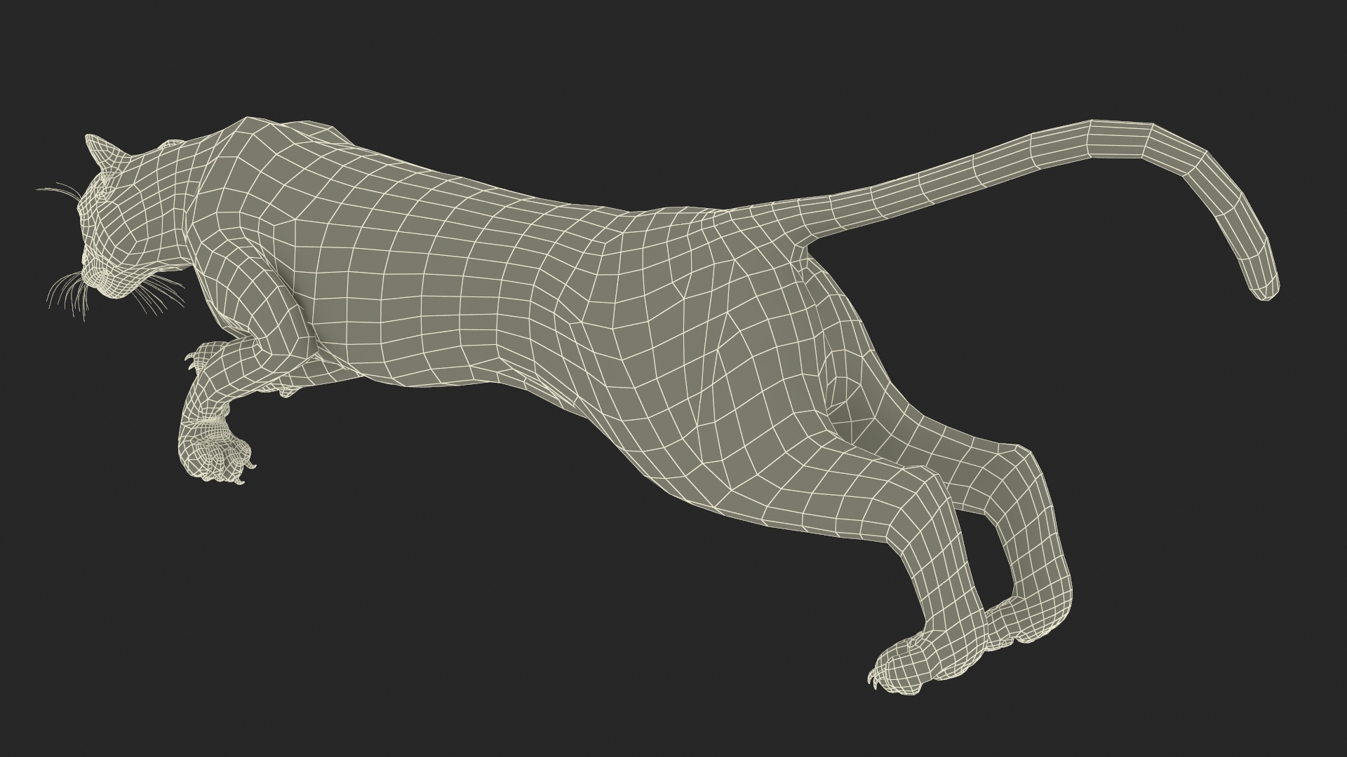 Jumping Puma 3D