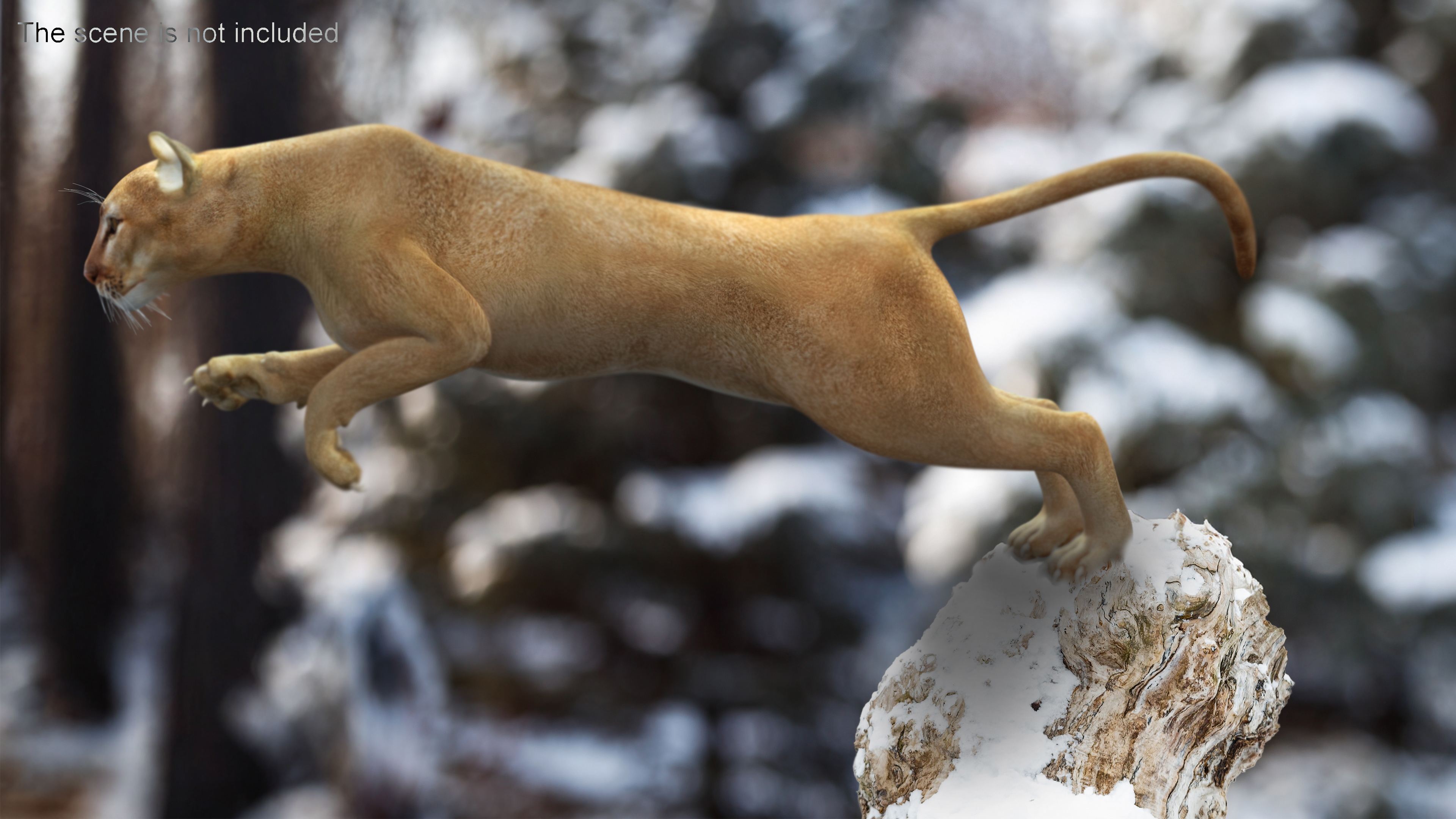 Jumping Puma 3D