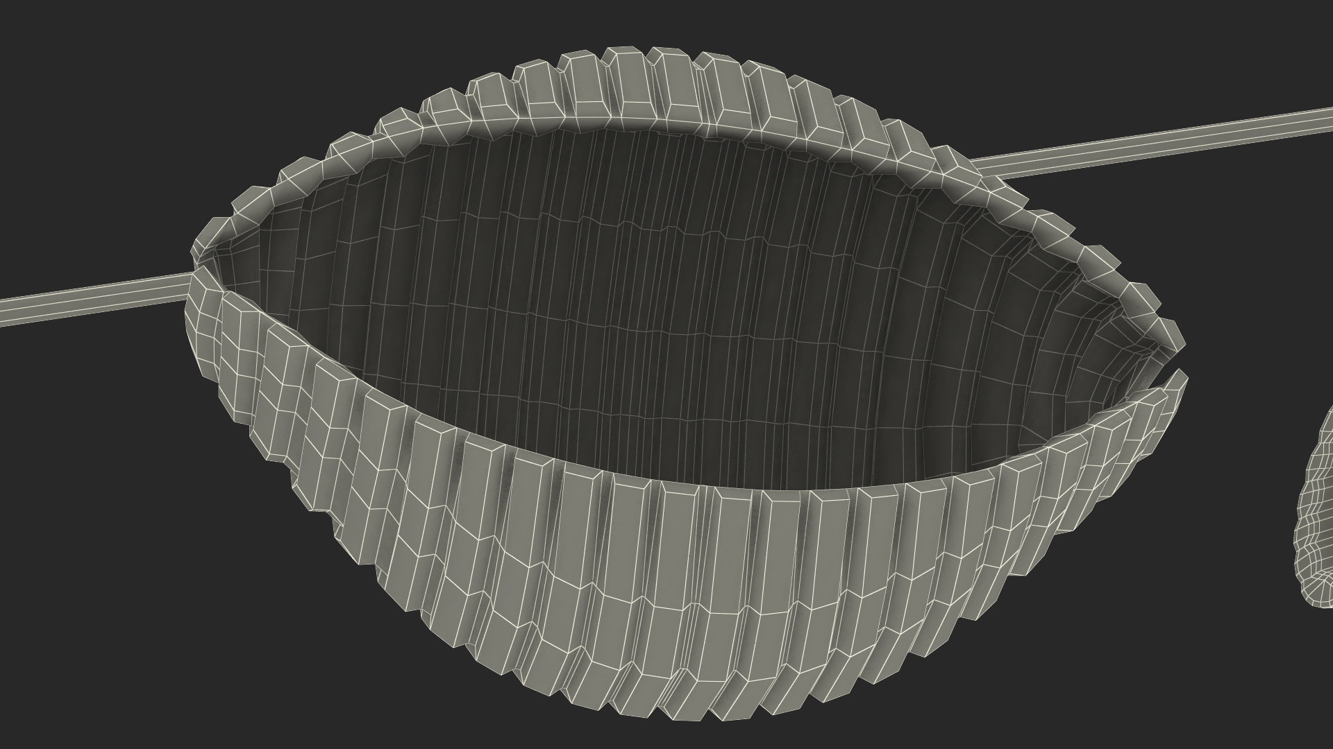 Dry Uncooked Pasta Set 3D