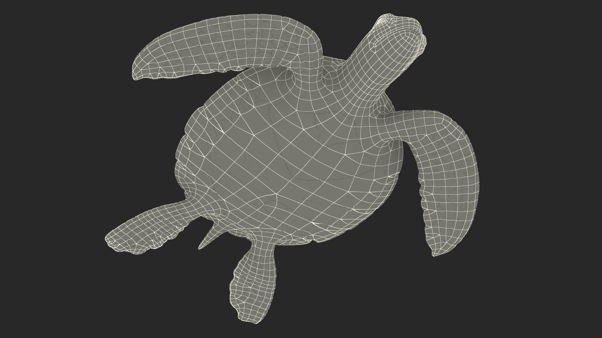 Realistic Sea Turtle Rigged 3D