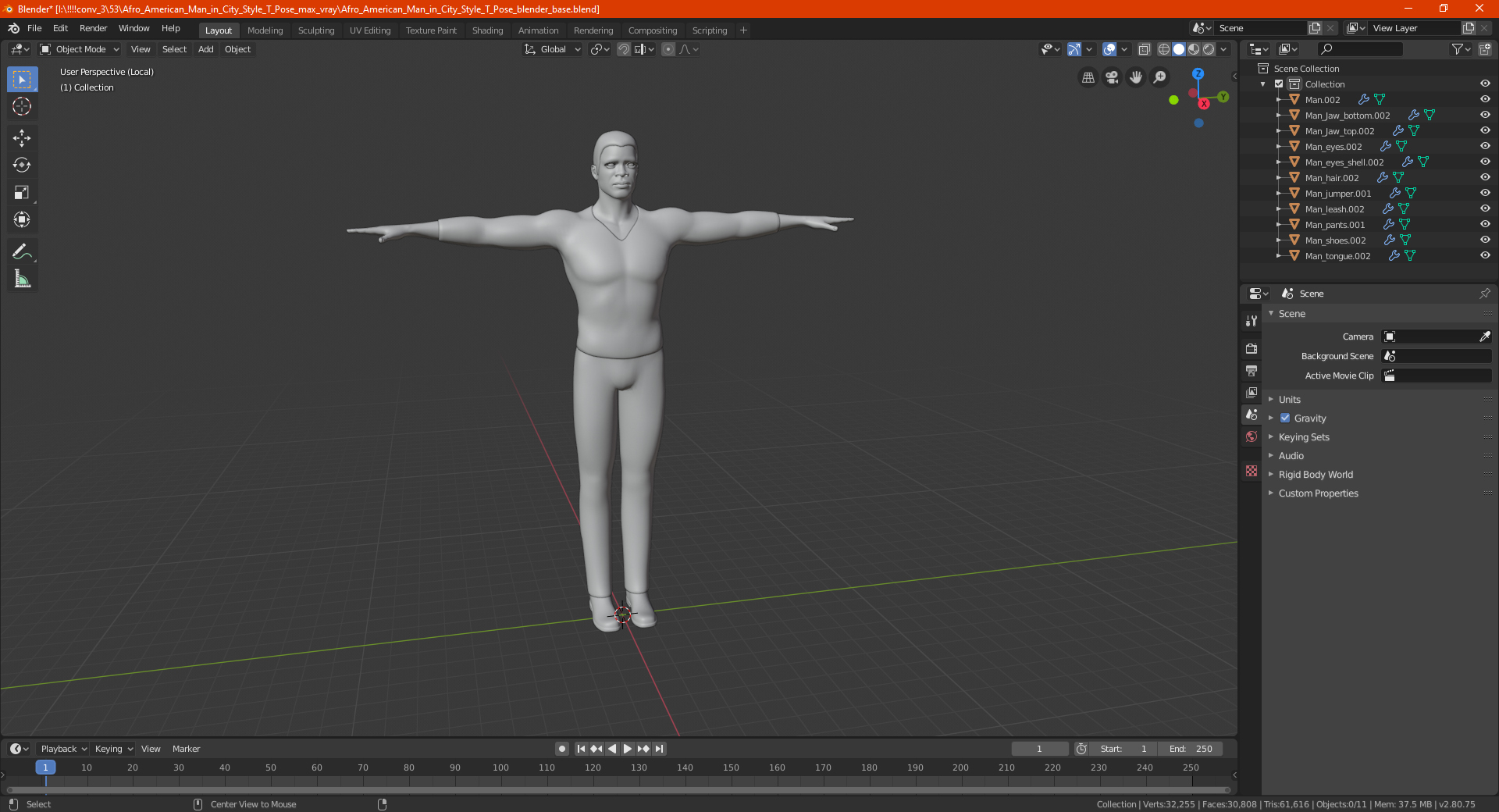 3D Afro American Man in City Style T Pose model