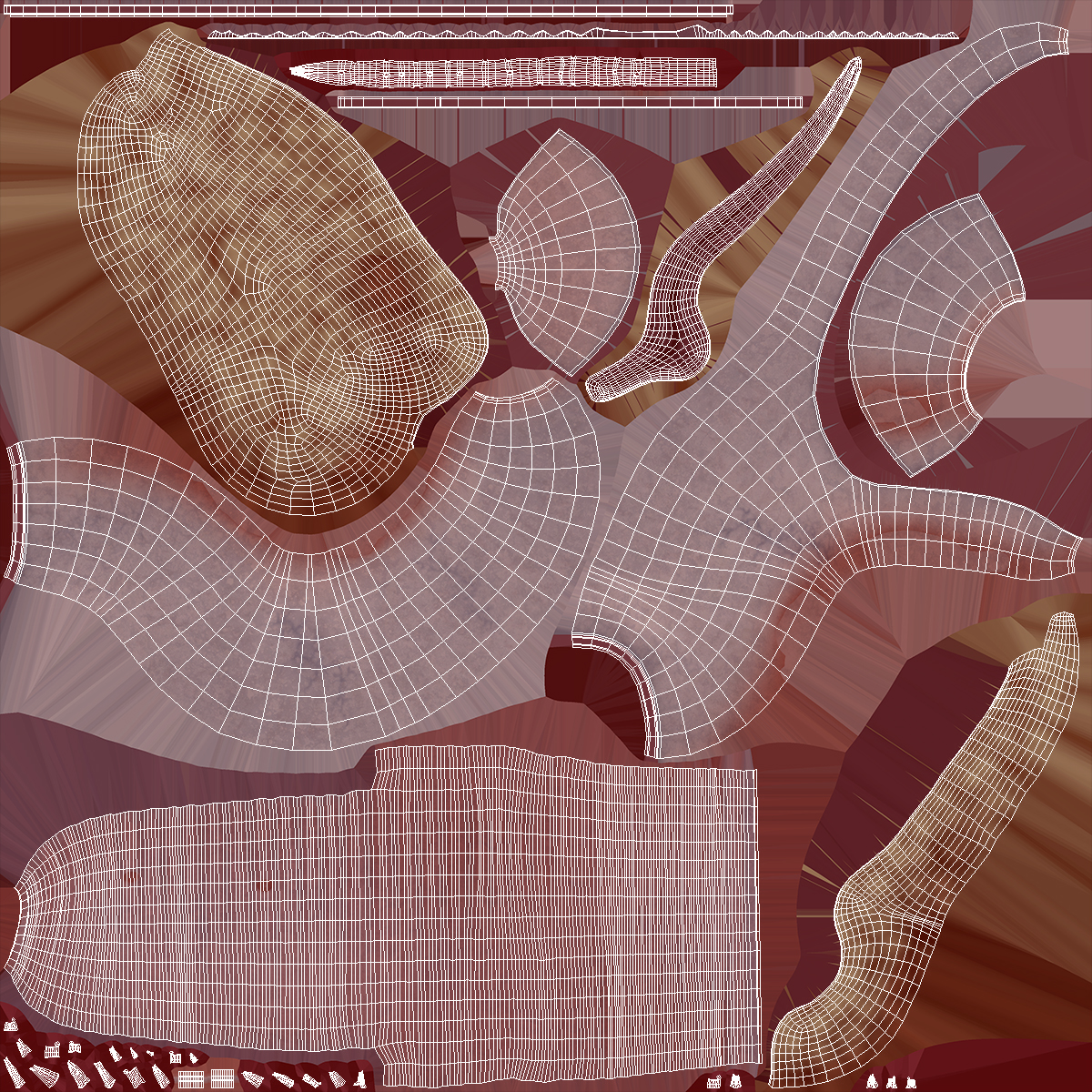 3D Human Pancreas Cut model