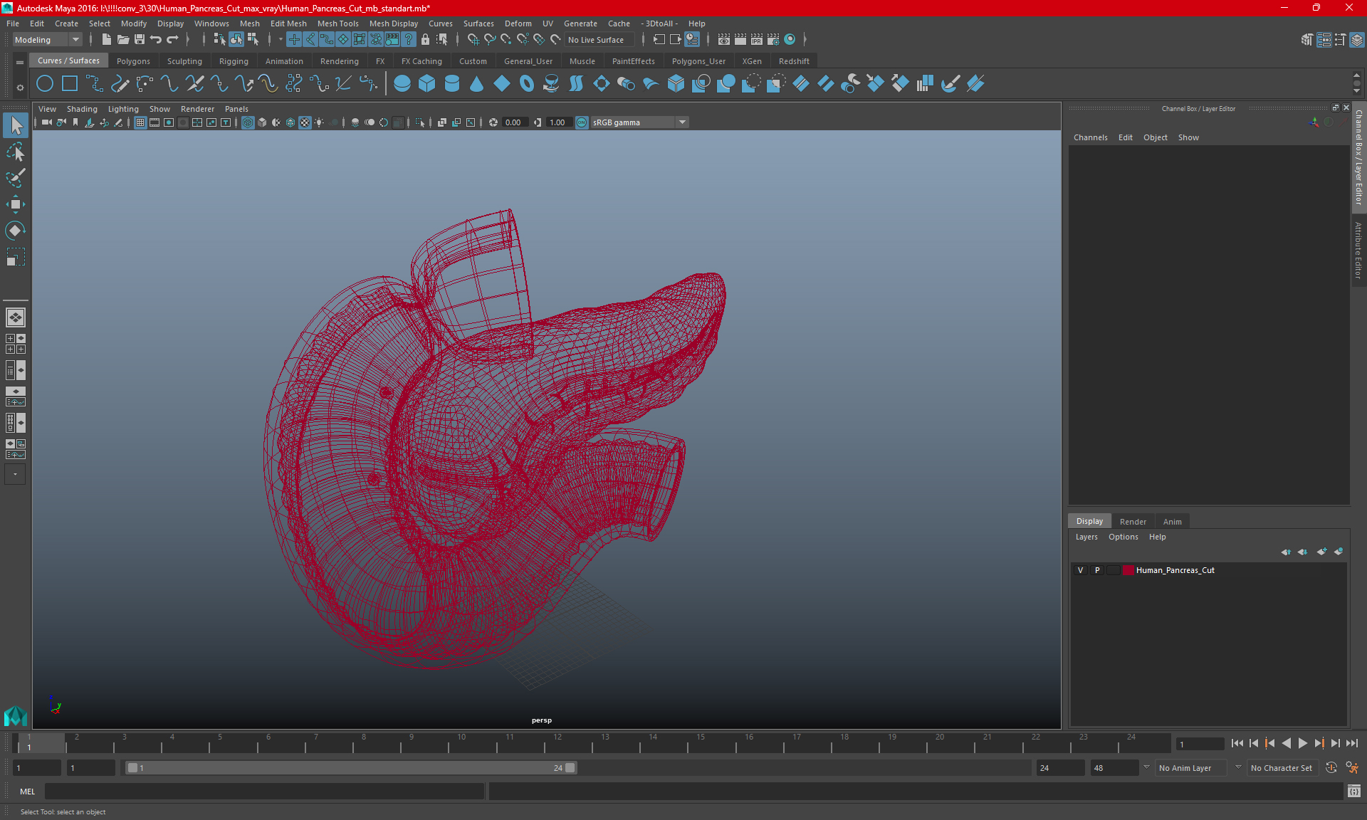 3D Human Pancreas Cut model
