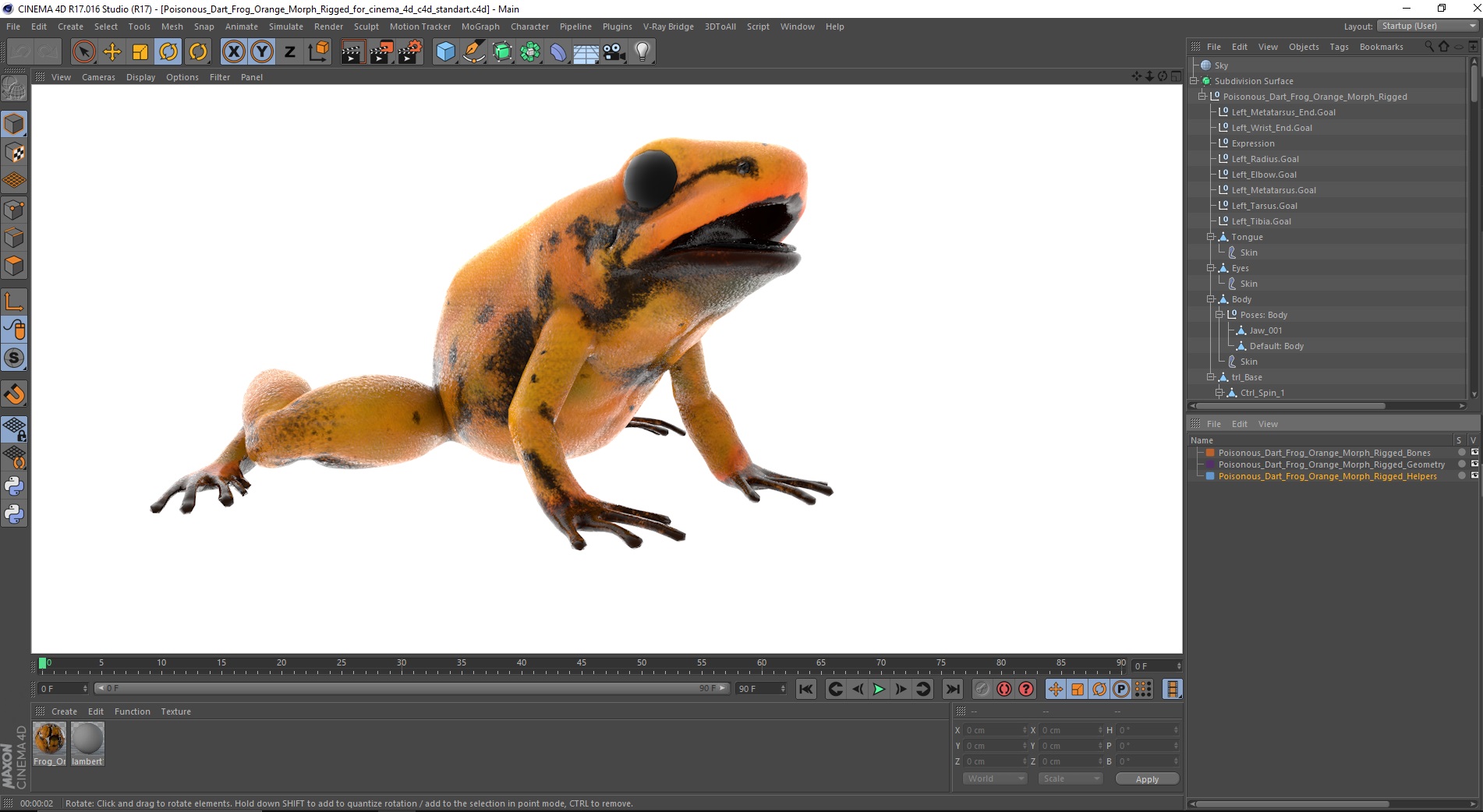 3D Poisonous Dart Frog Orange Morph Rigged for Cinema 4D model