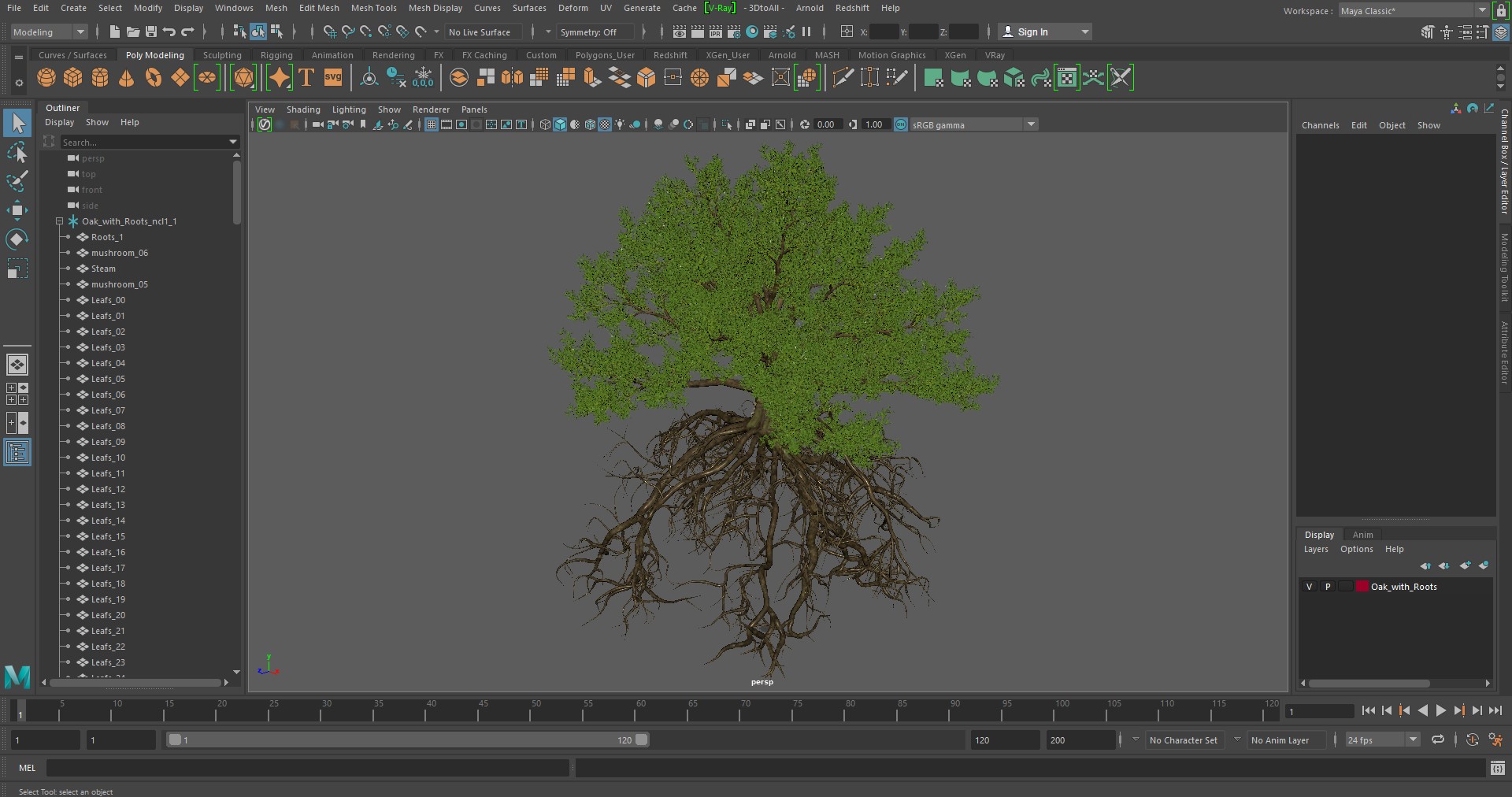 Oak with Roots 3D model