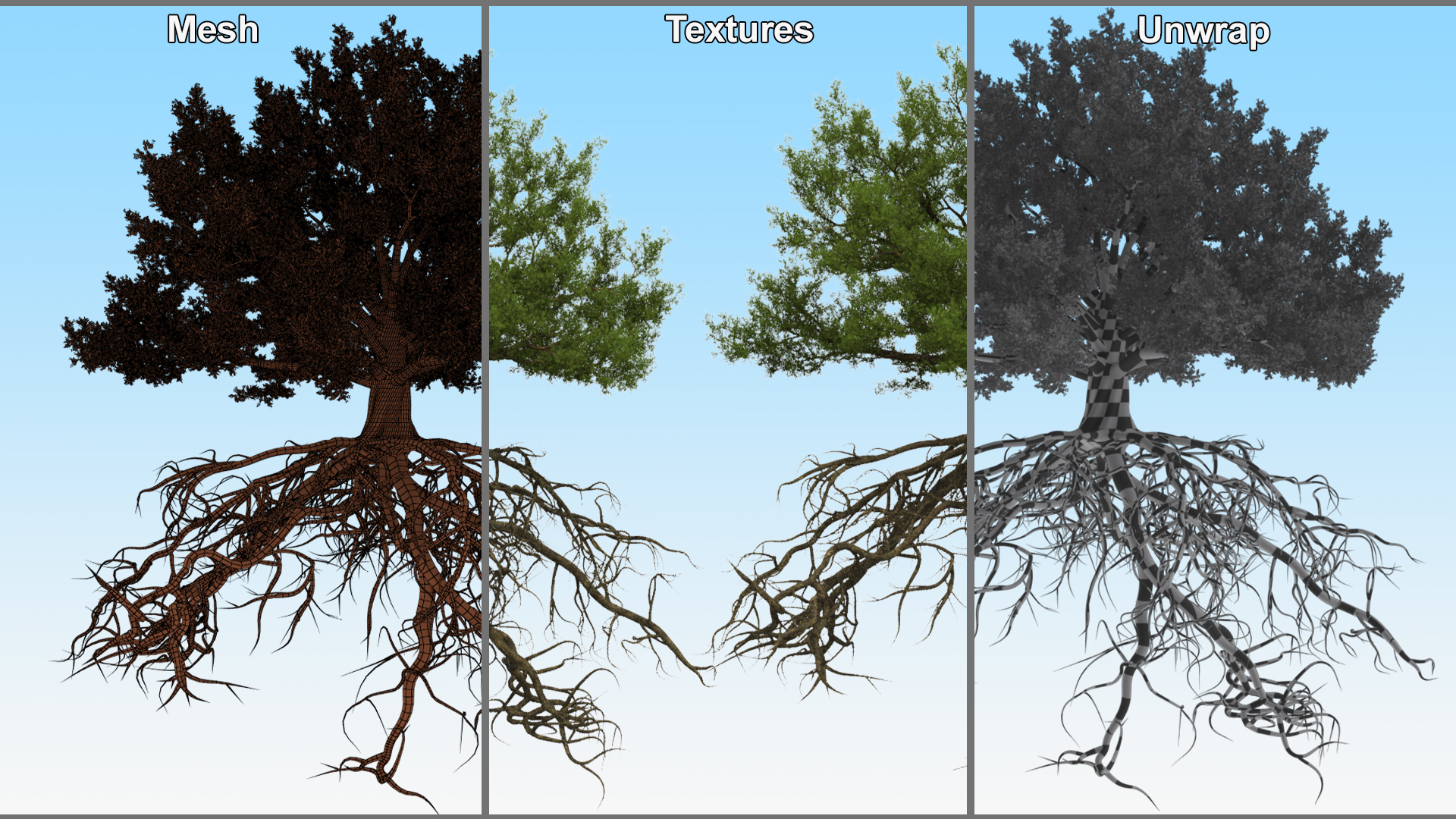 Oak with Roots 3D model