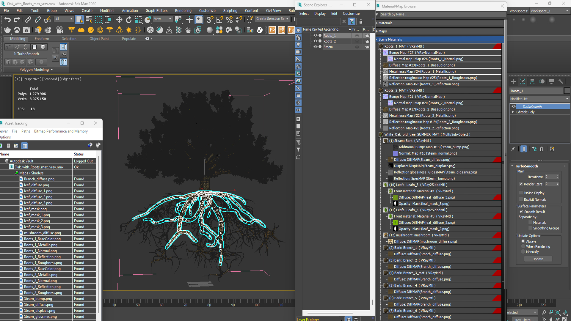 Oak with Roots 3D model