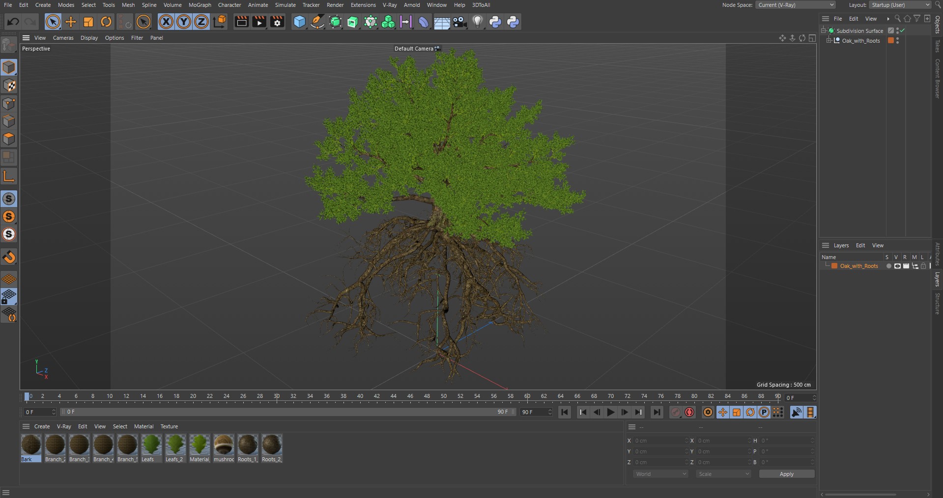 Oak with Roots 3D model