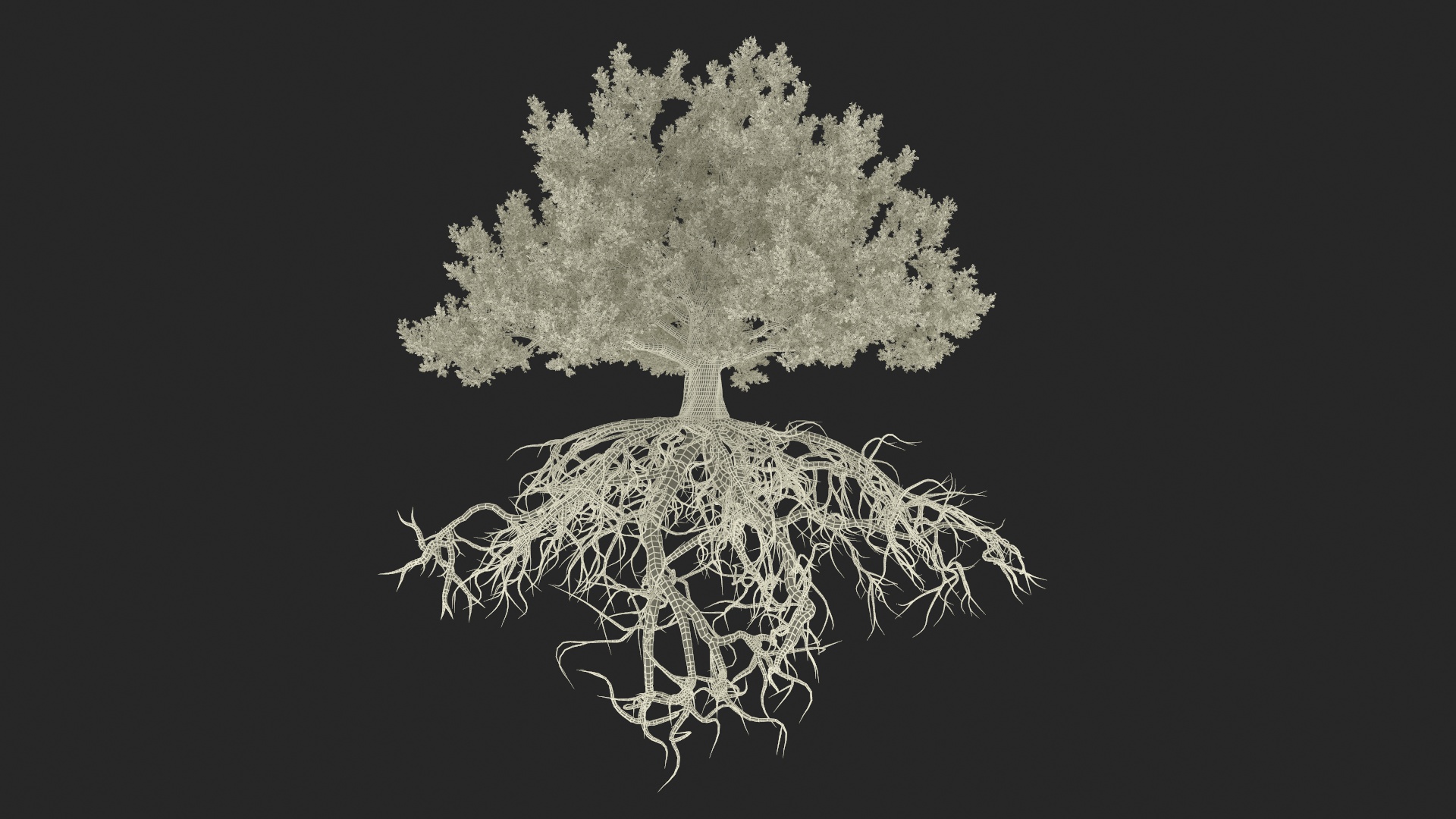 Oak with Roots 3D model
