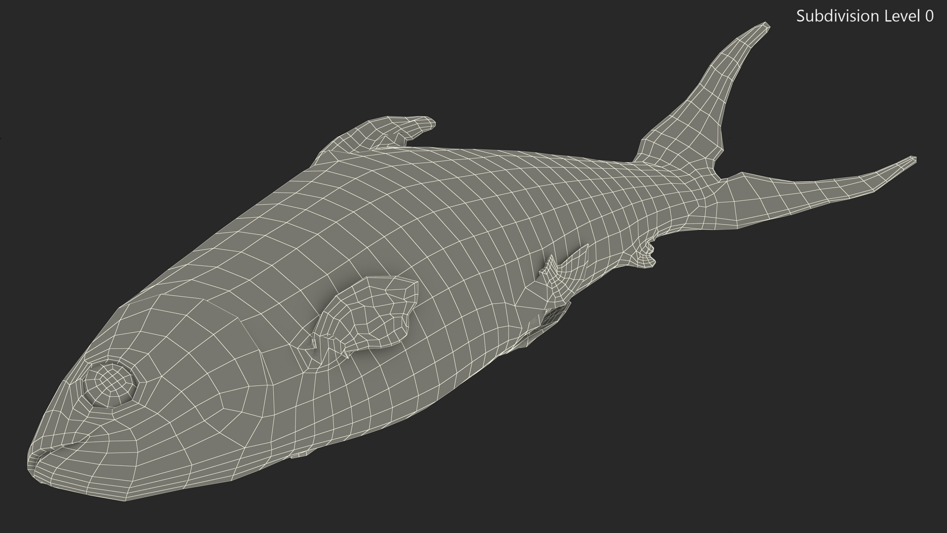 3D model Raw Bangus