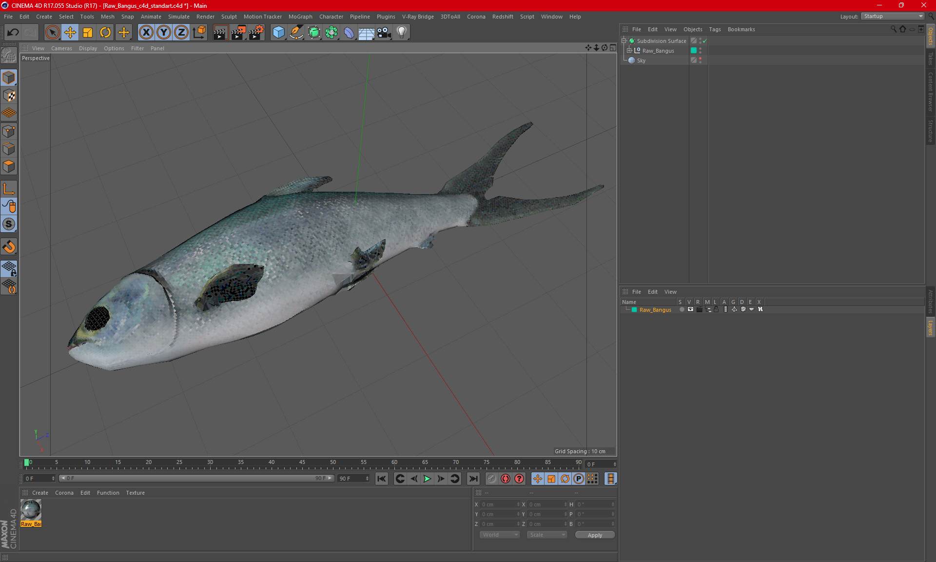 3D model Raw Bangus