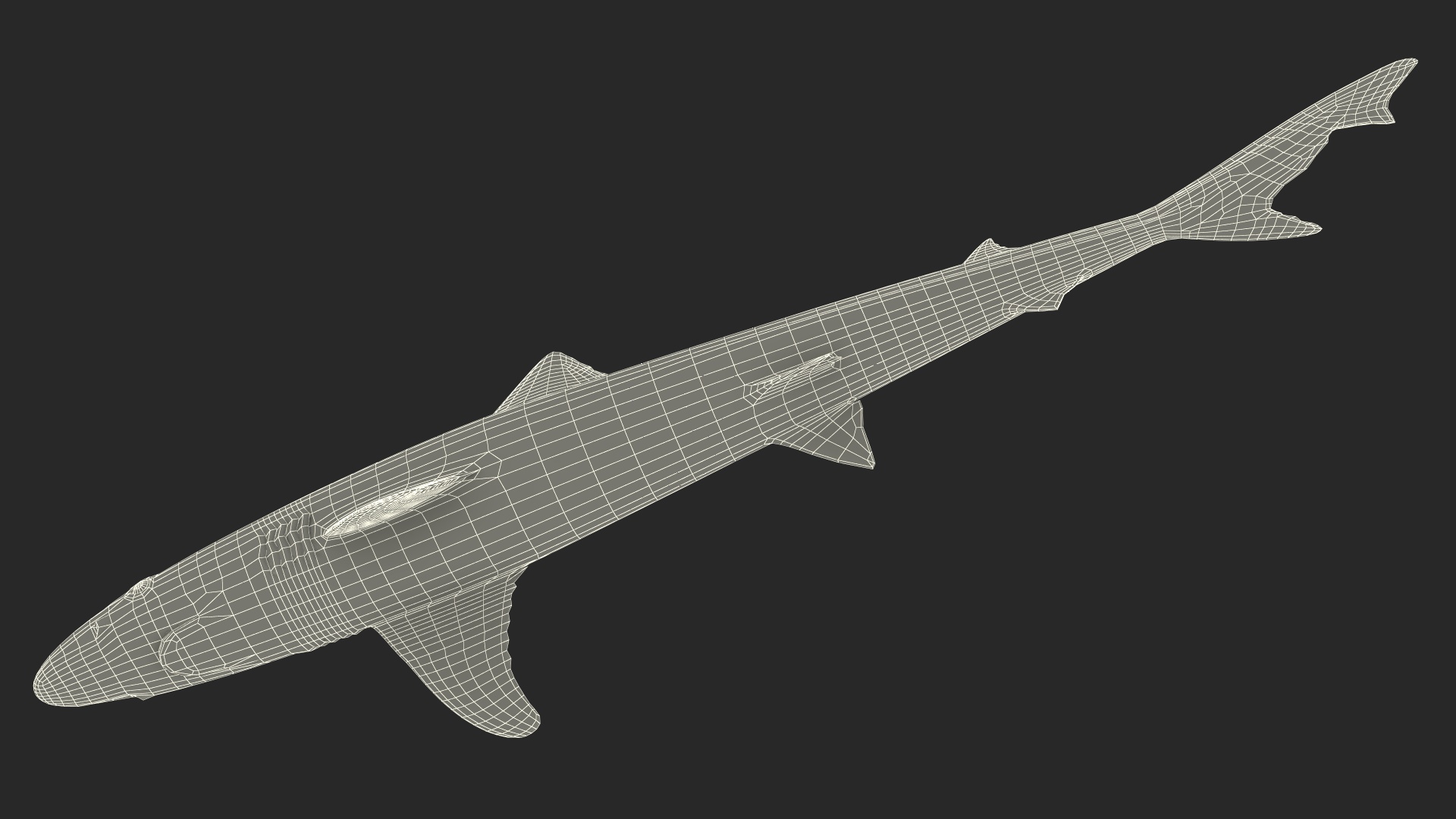 Realistic School Shark 3D
