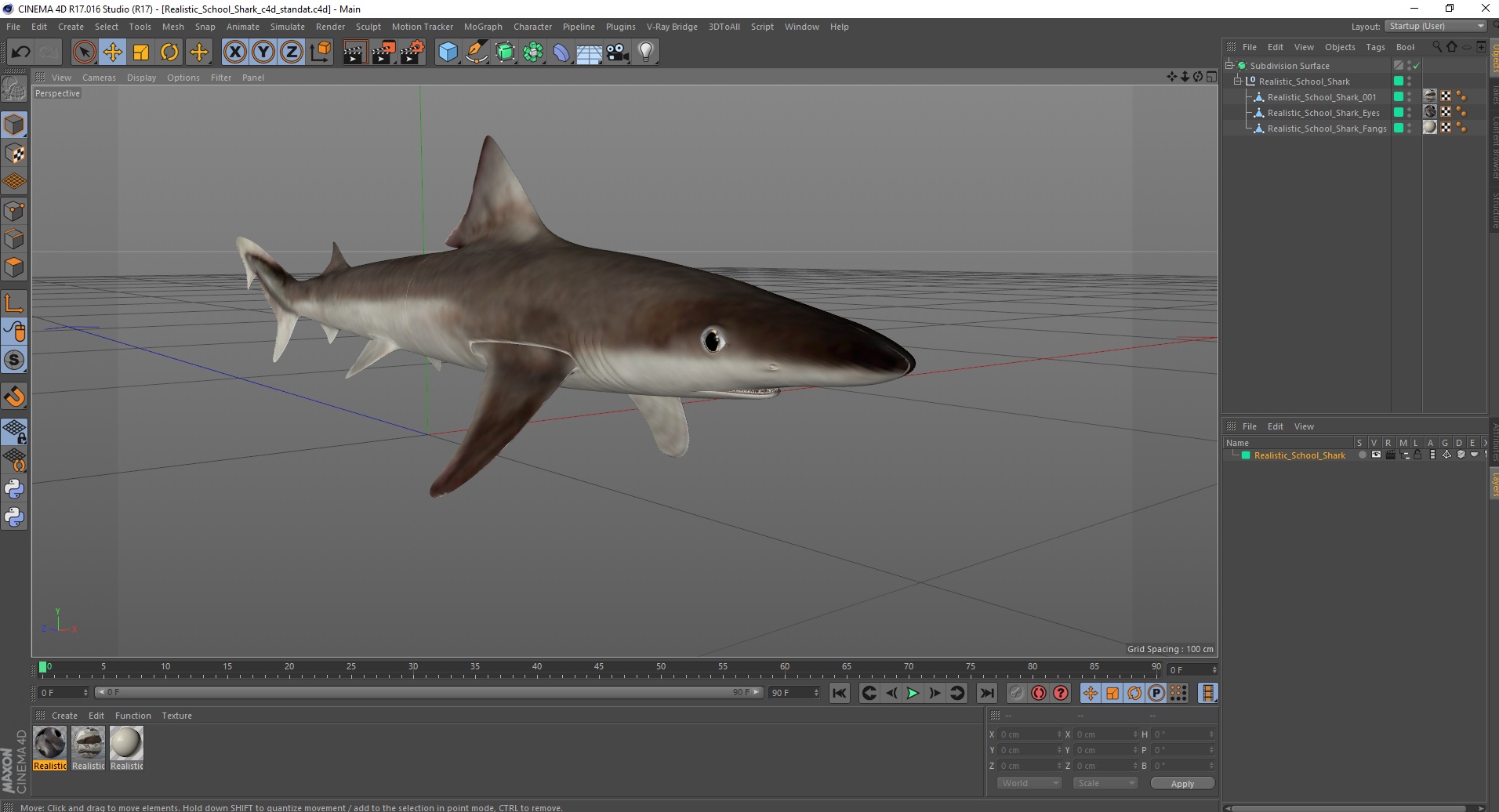 Realistic School Shark 3D