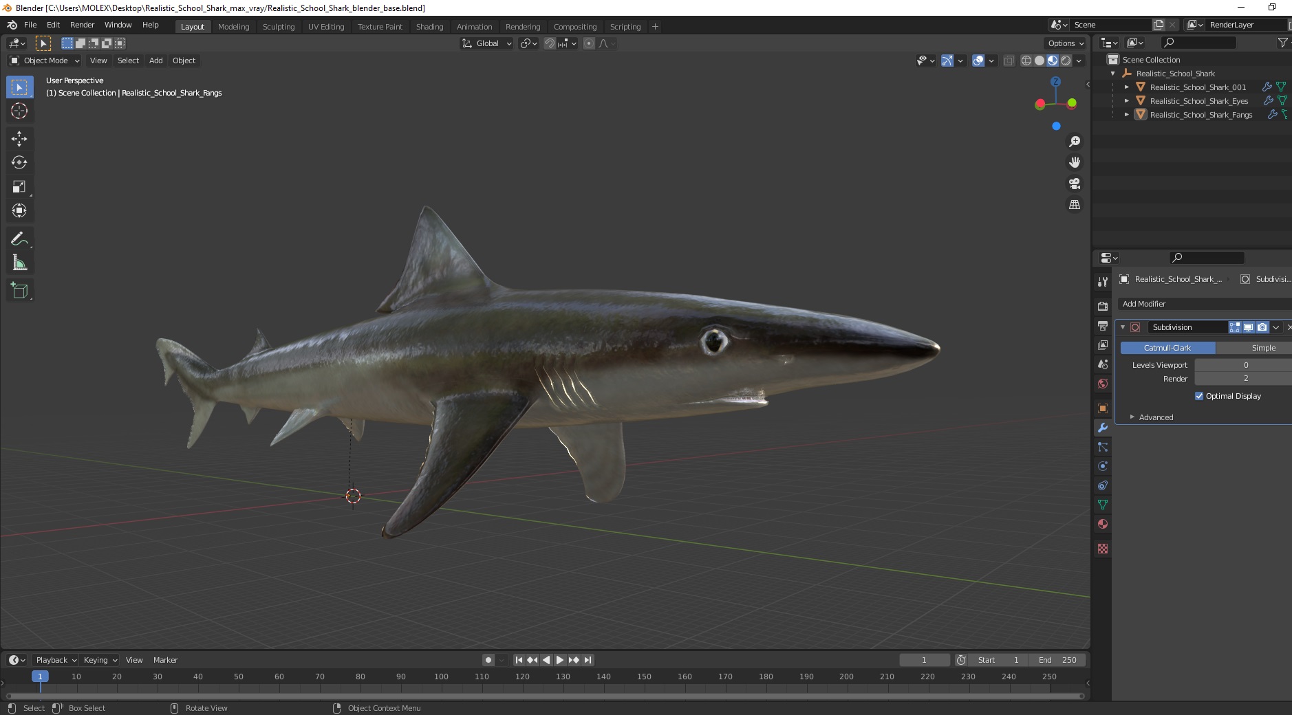 Realistic School Shark 3D