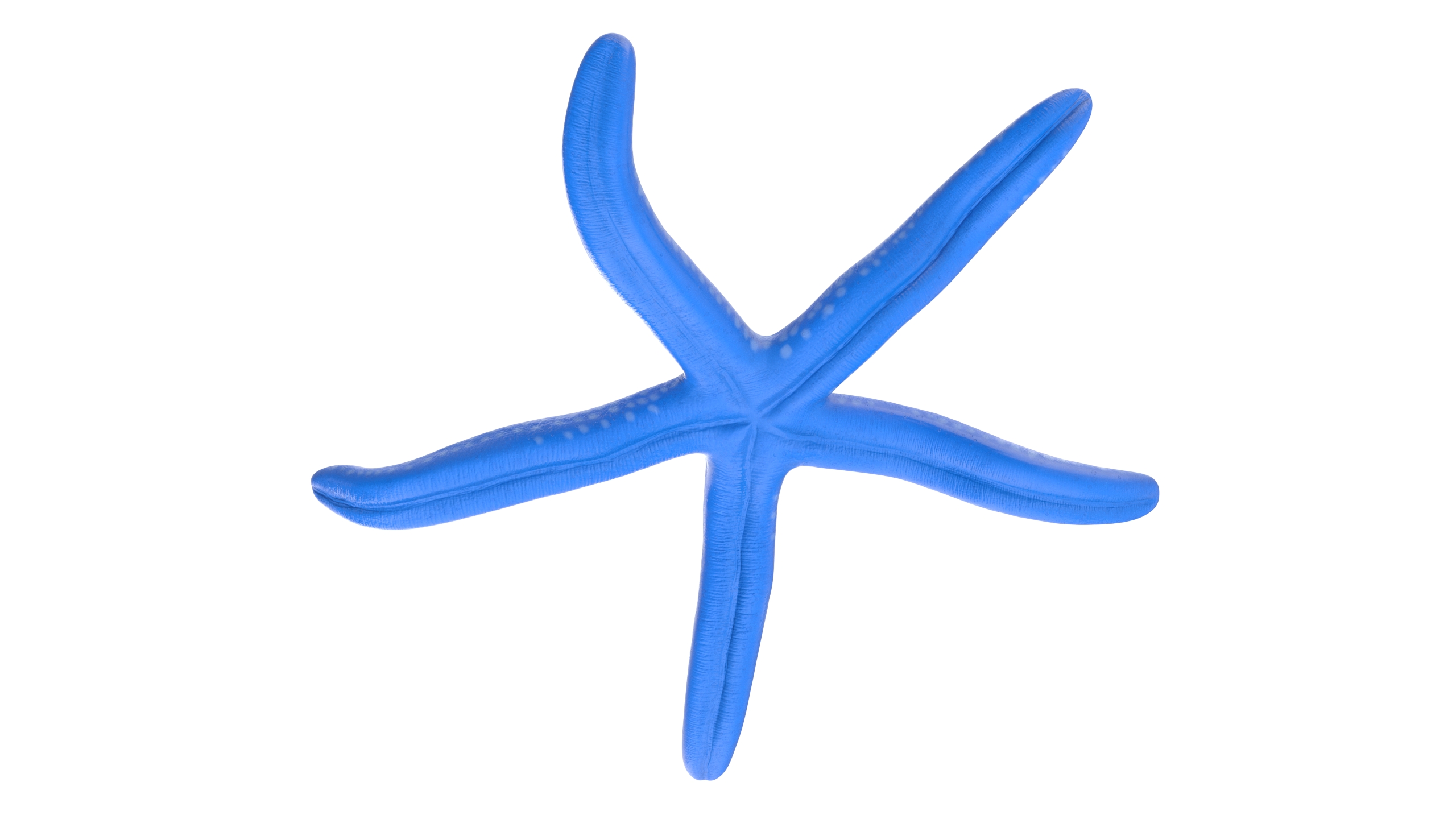 Sea Star Blue Crawling Pose 3D