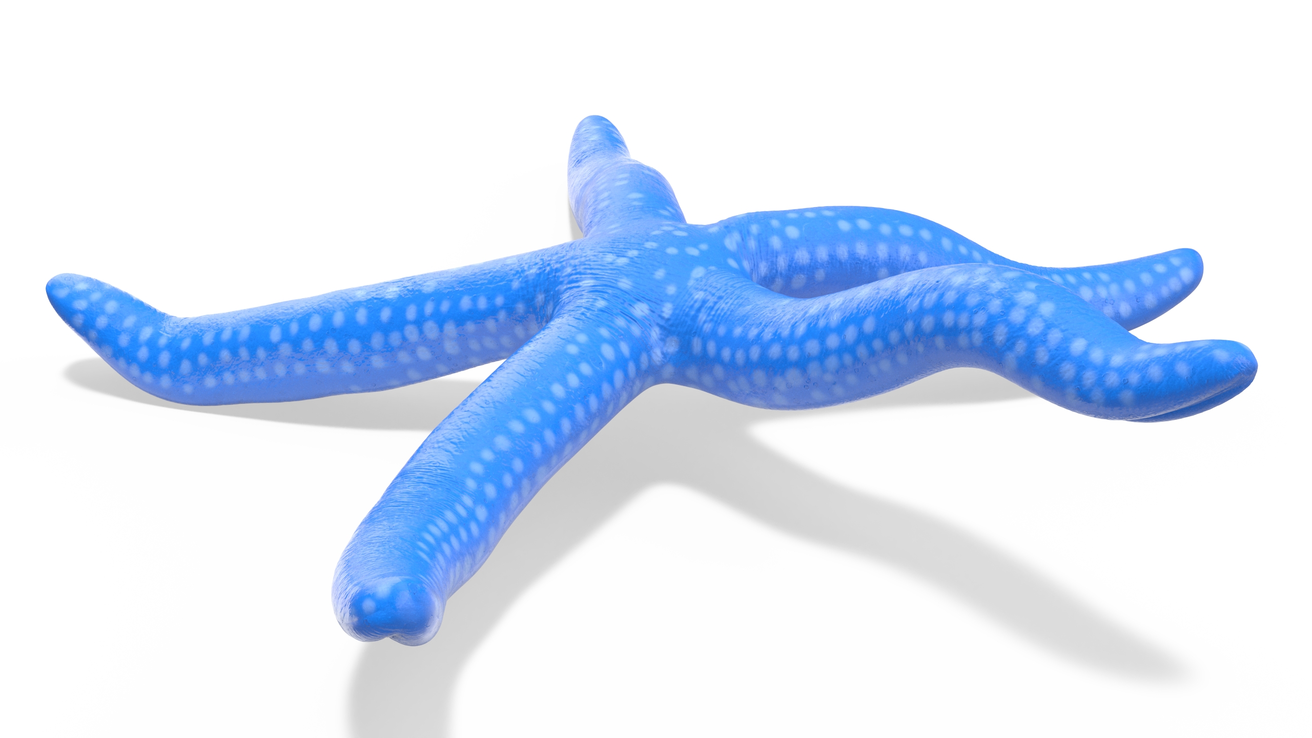 Sea Star Blue Crawling Pose 3D
