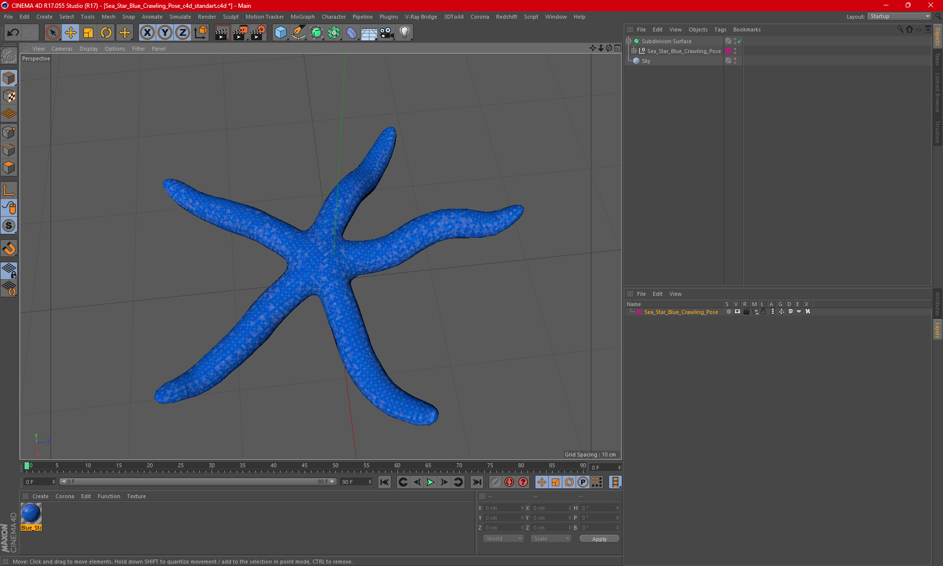 Sea Star Blue Crawling Pose 3D