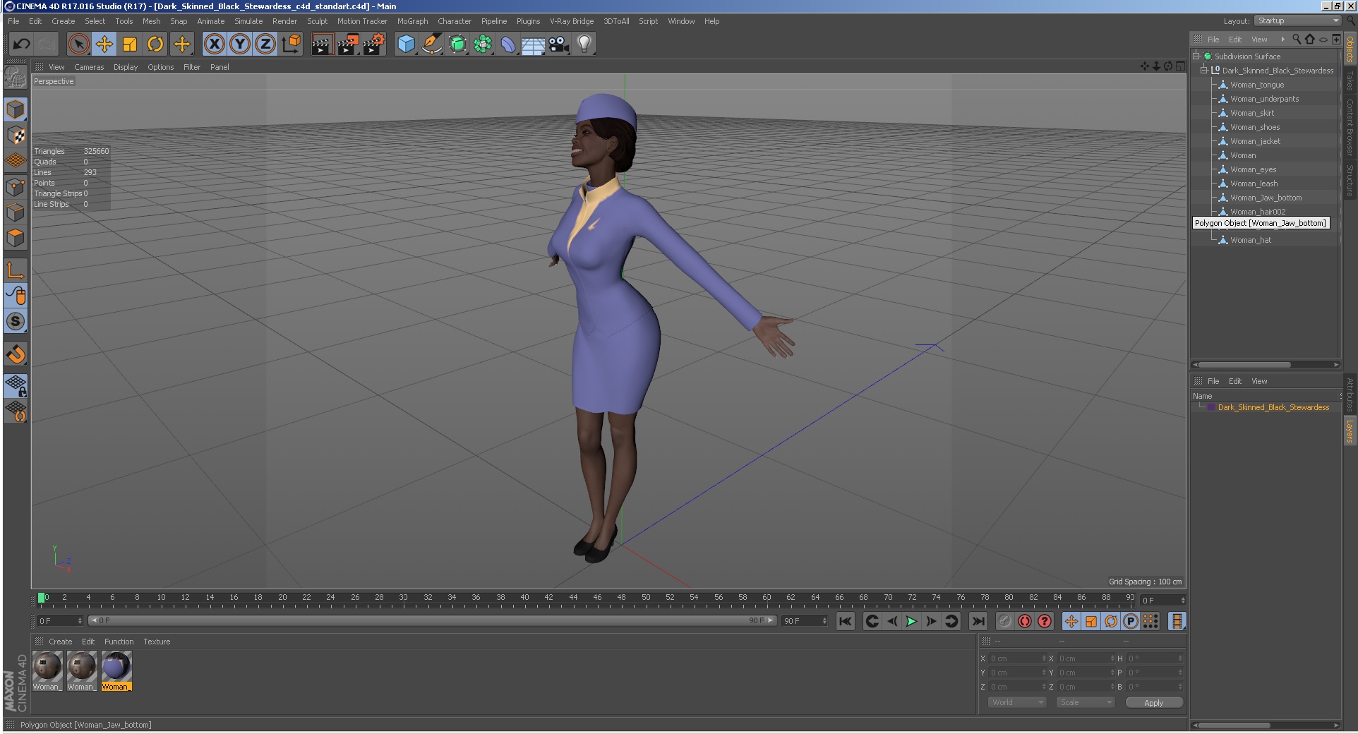 Dark Skinned Black Stewardess 3D model