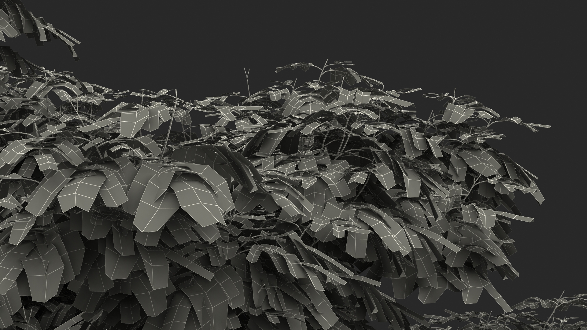 Albizia Julibrissin Deflorate 3D model